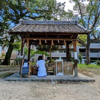 丸山神明社の写真8