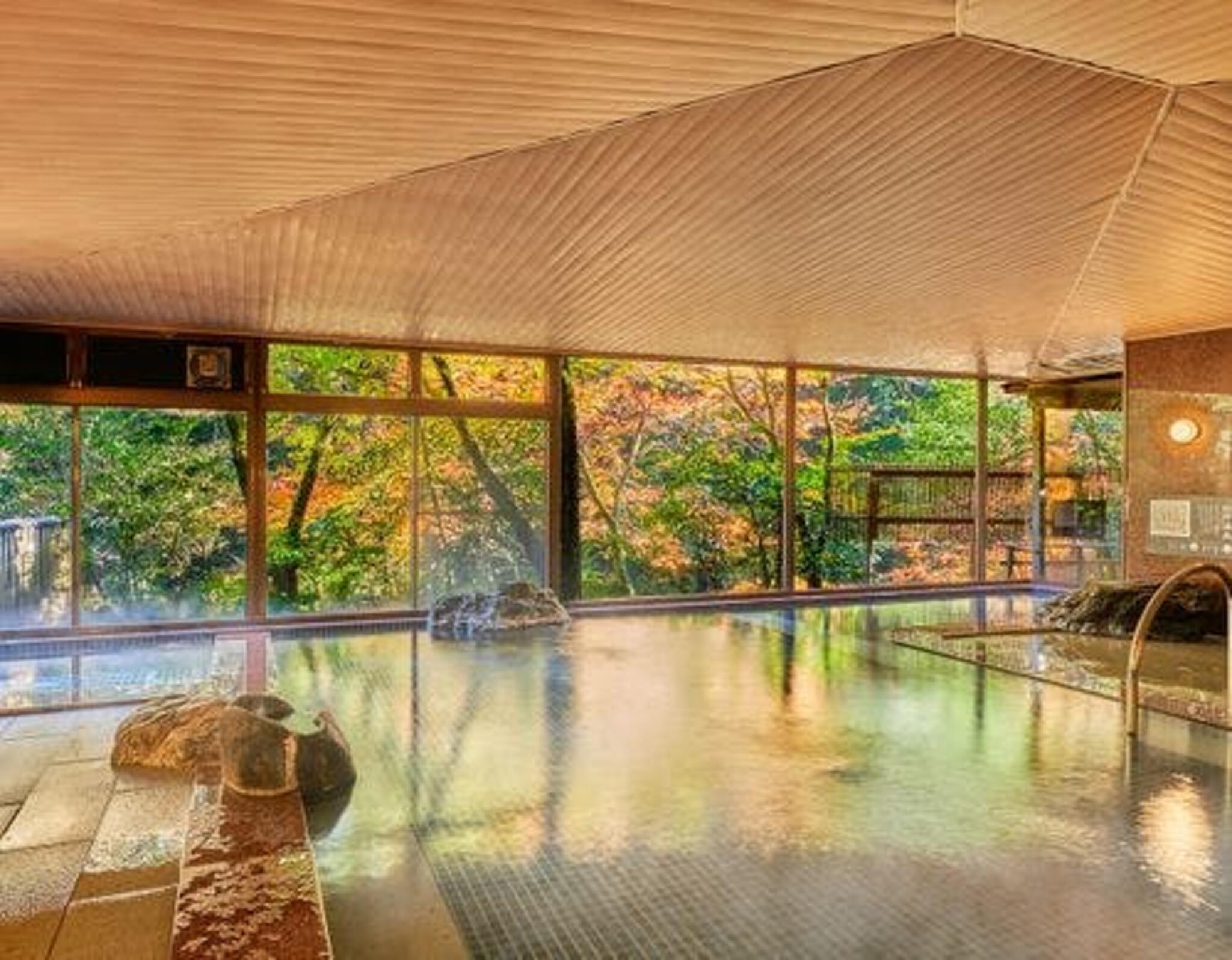 湯快リゾートプレミアム 山中温泉 よしのや依緑園の代表写真2