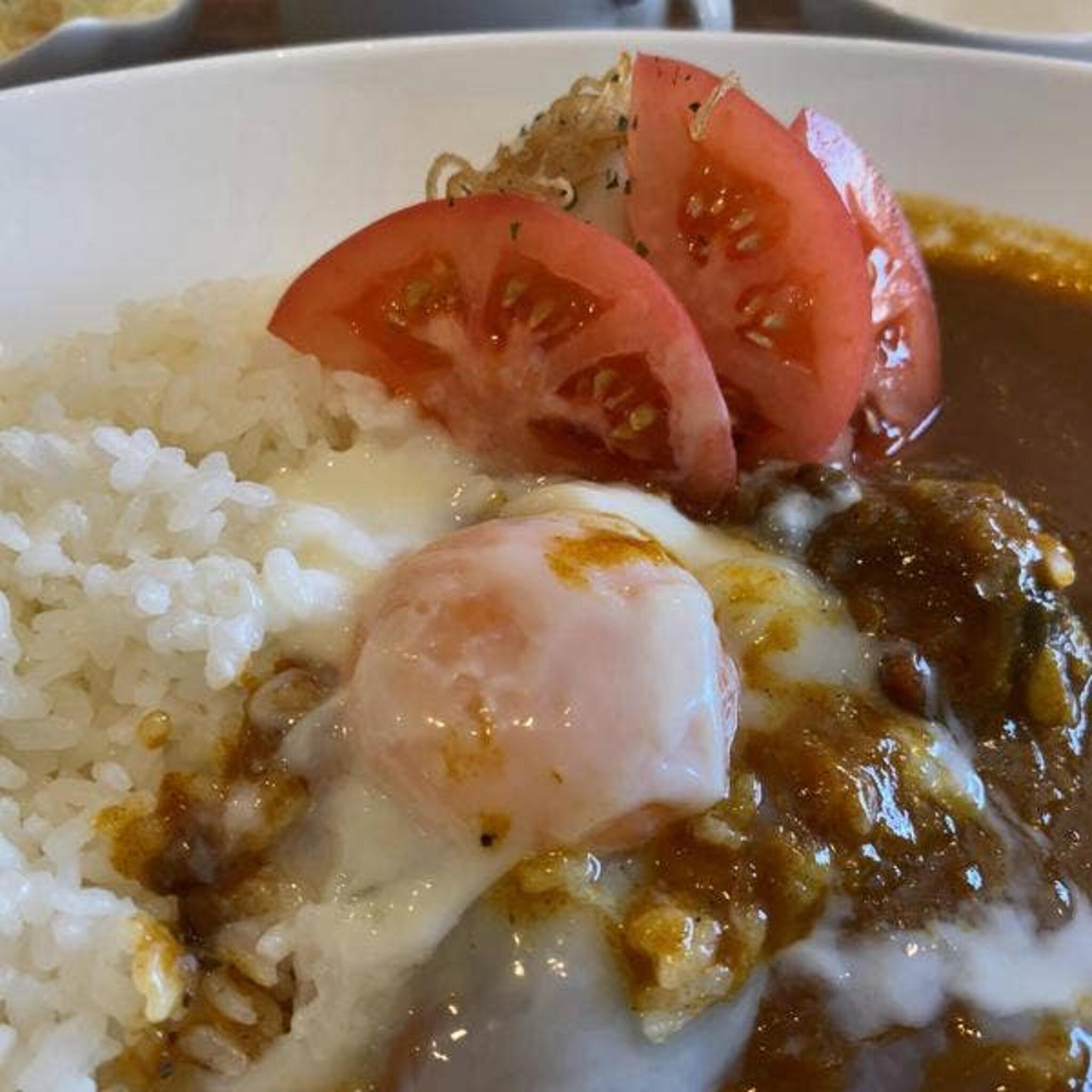 チャトニカレー店の代表写真6