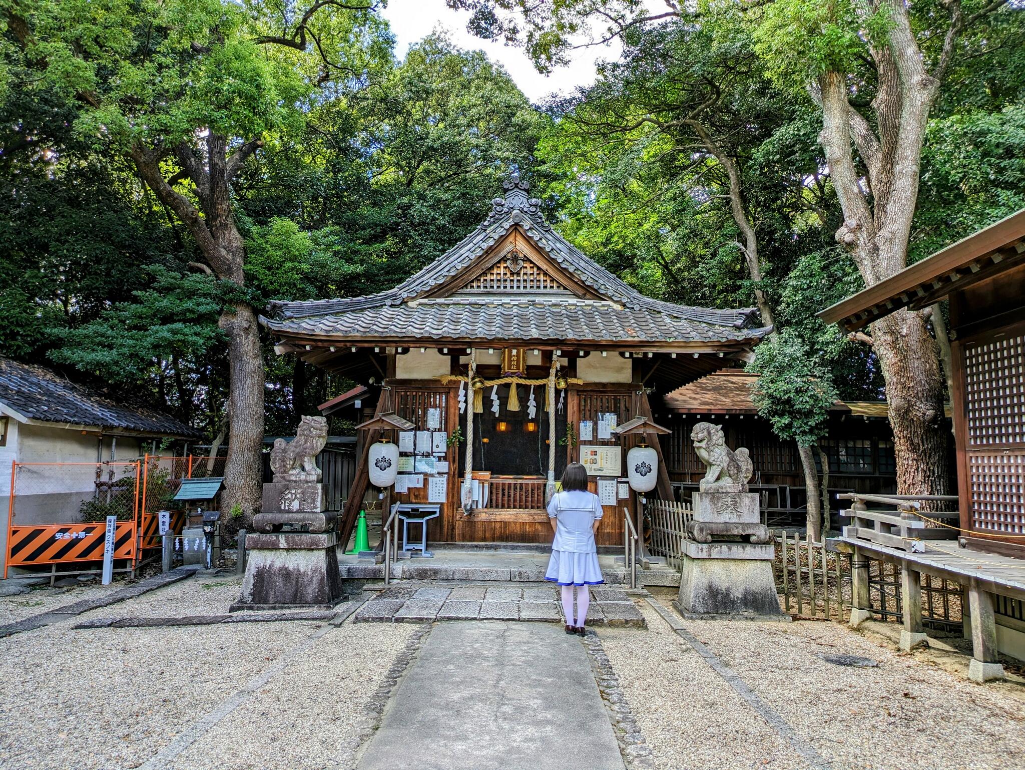 丸山神明社の代表写真3