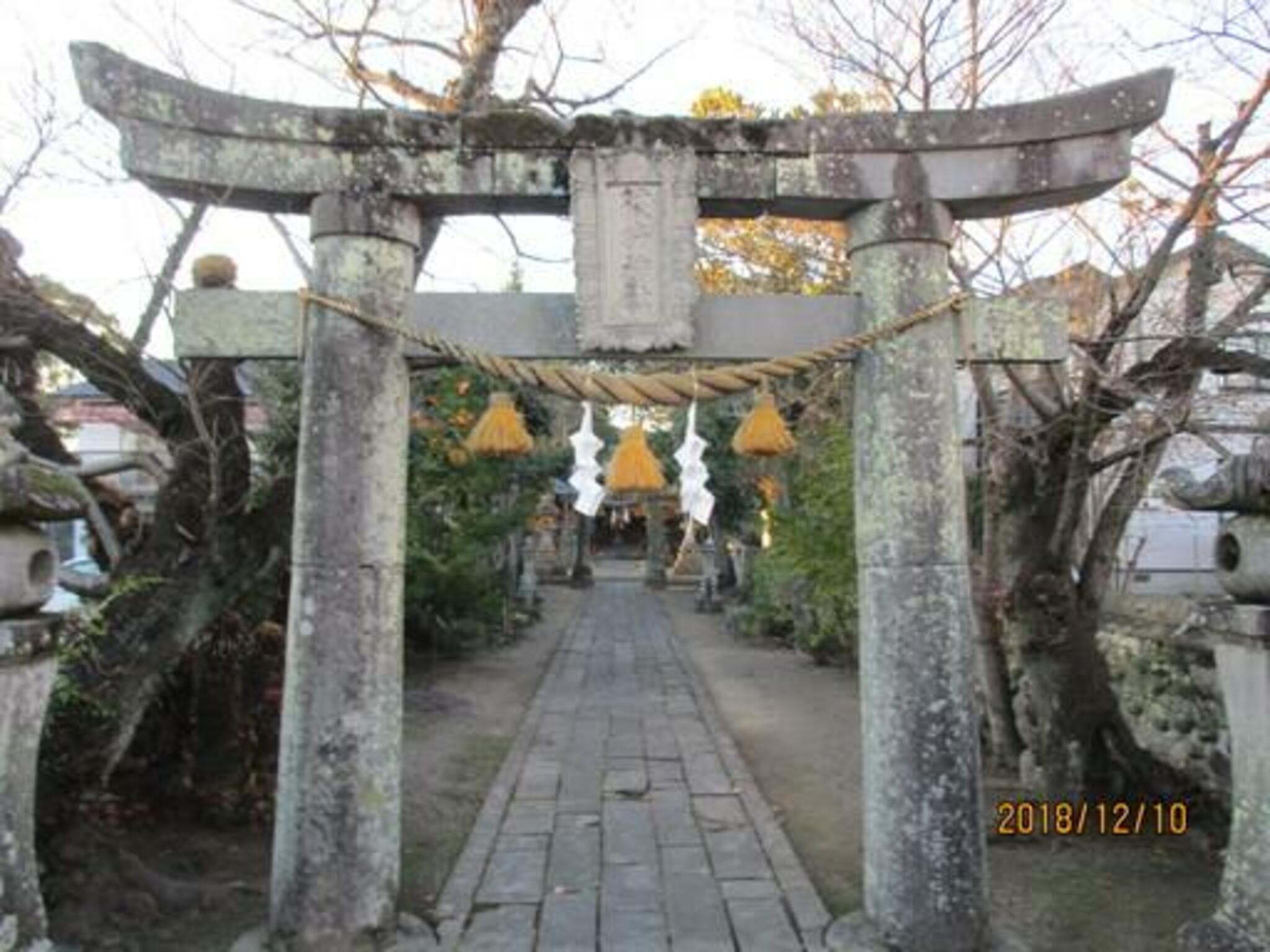 彼杵神社の代表写真4
