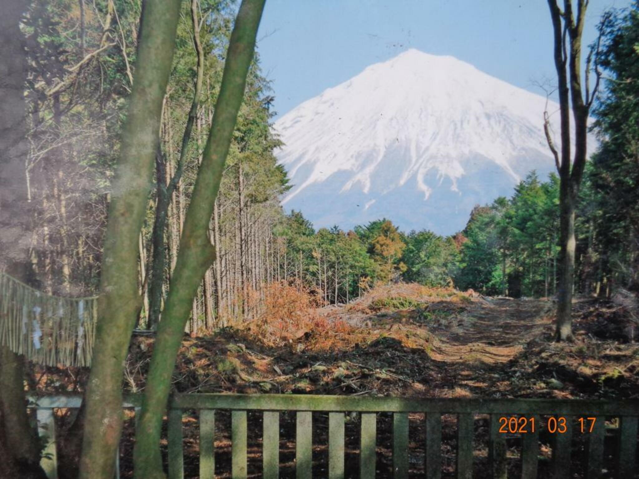 山宮浅間神社の代表写真9
