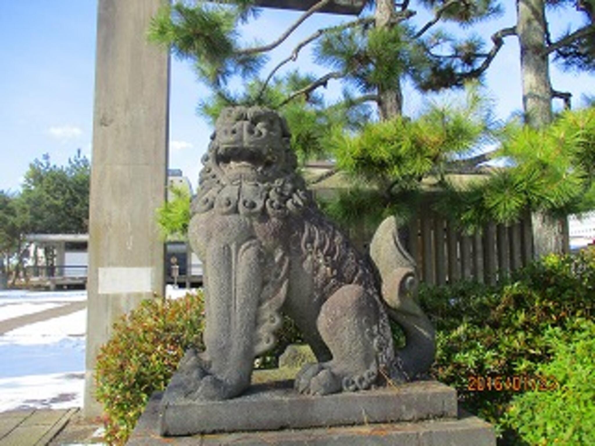 福井神社の代表写真4