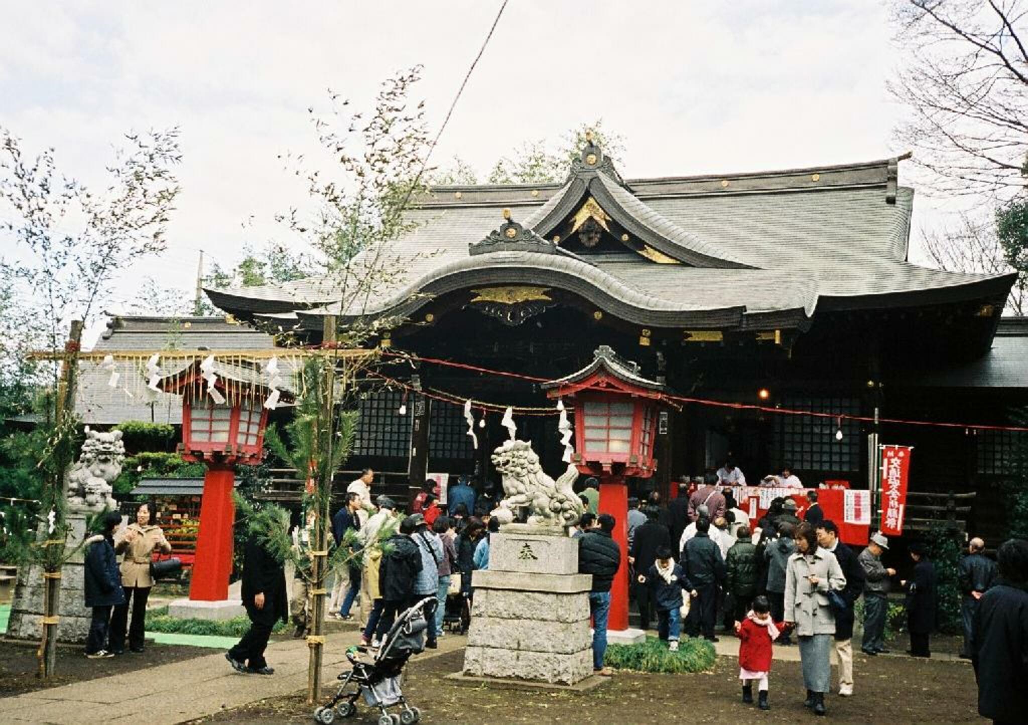 鷺宮・八幡神社の代表写真4