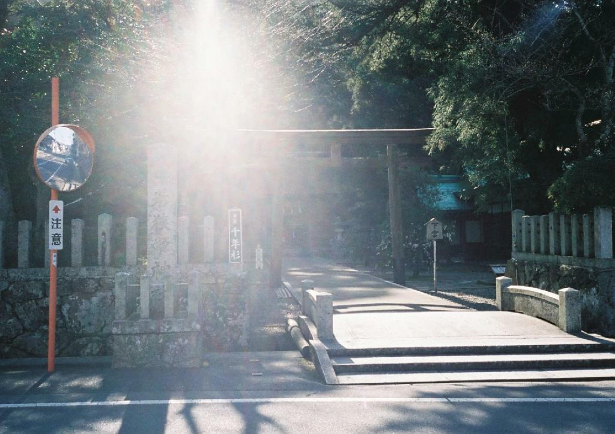 若狭彦神社・若狭姫神社の代表写真7