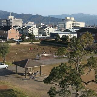 成和公園の写真8