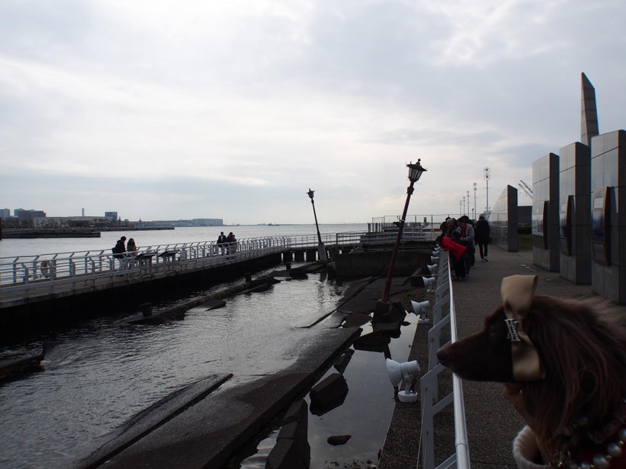 神戸港震災メモリアルパークの代表写真7