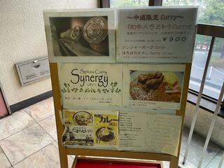 Spices Curry Synergyのクチコミ写真2