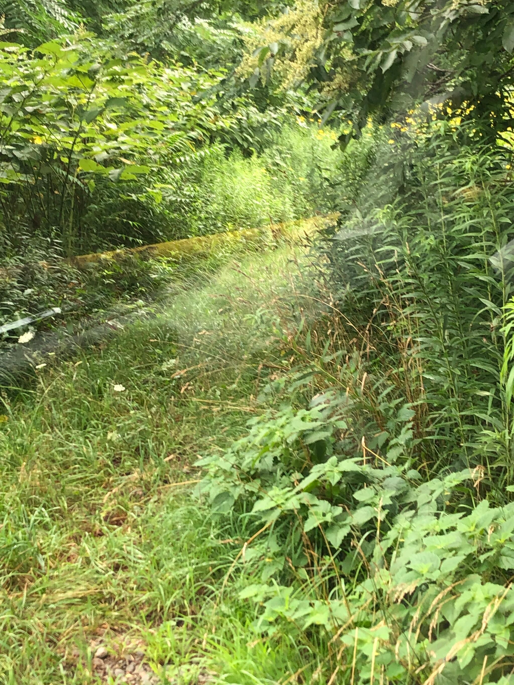 札幌 ペット 霊園 南 区 セール