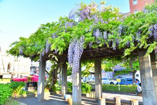 会津若松駅のクチコミ写真9