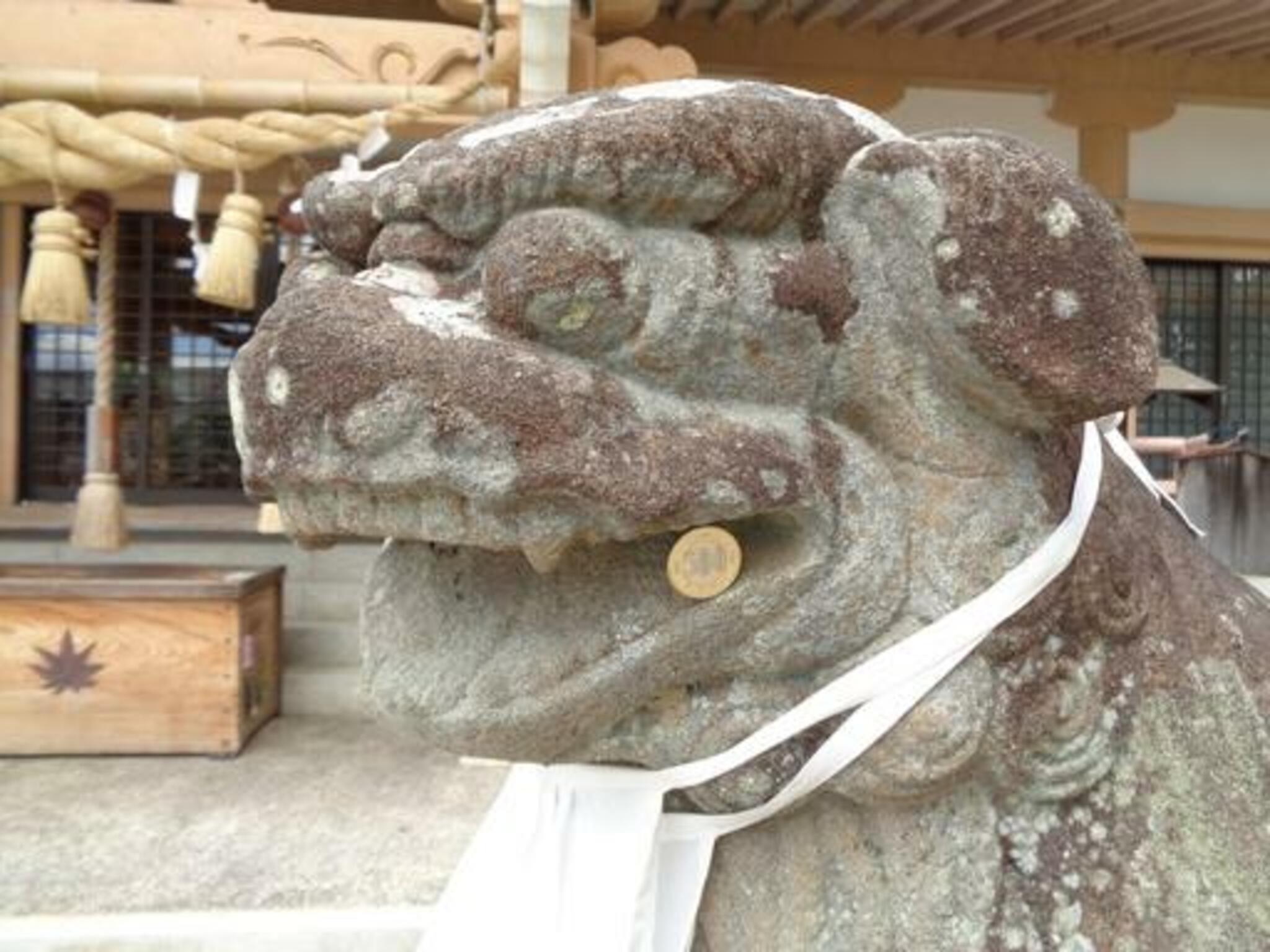 龍田神社の代表写真8