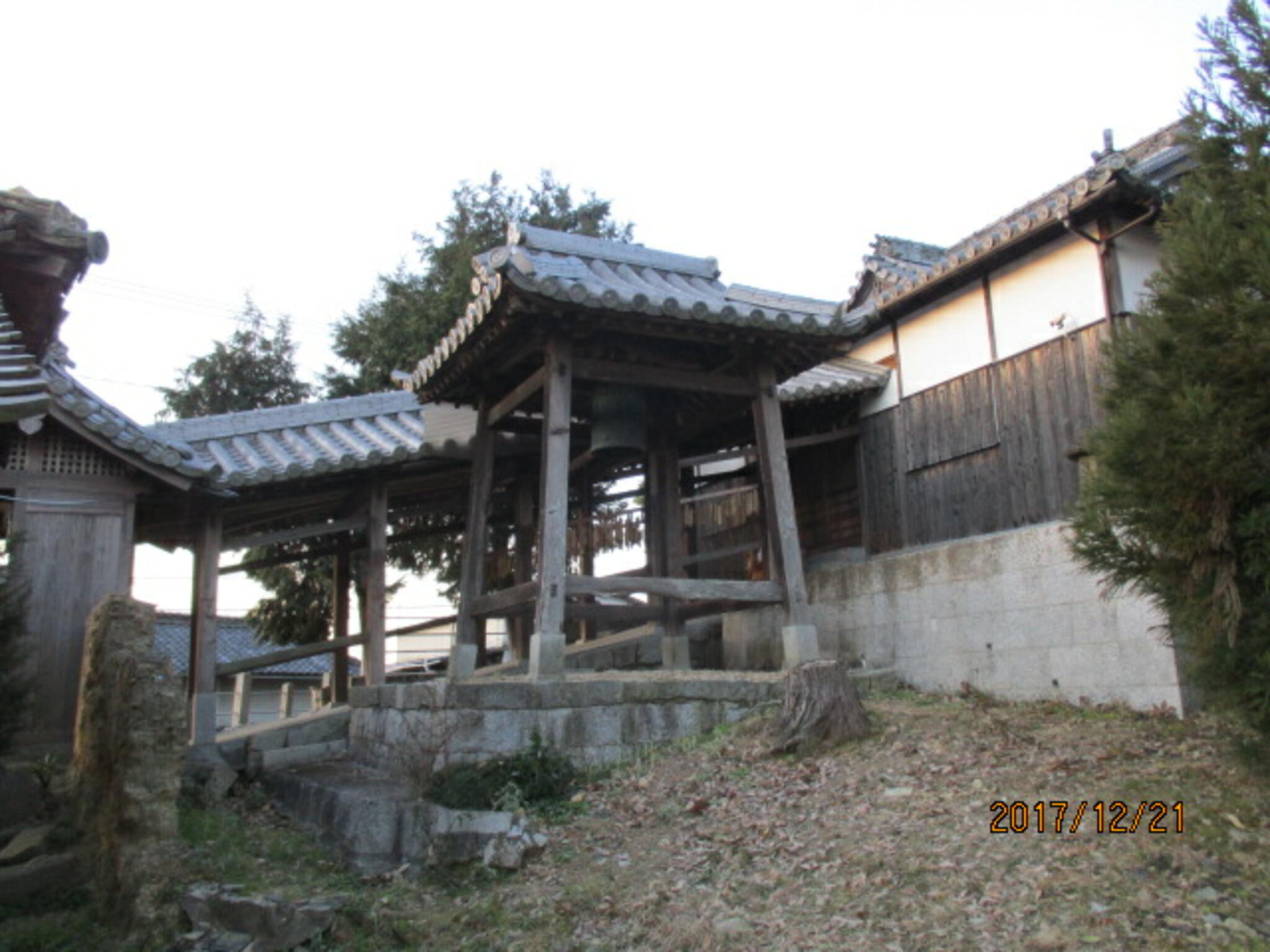 鯉喰神社の代表写真6
