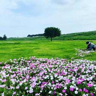 東亜造園株式会社の写真6