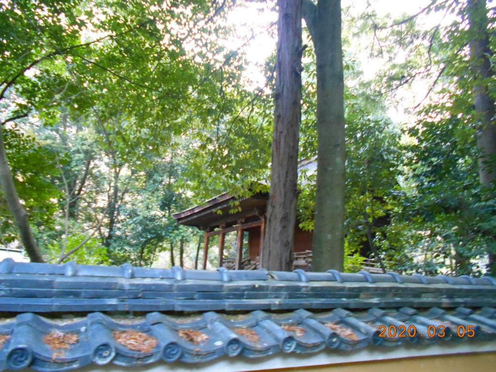 神谷神社の代表写真10