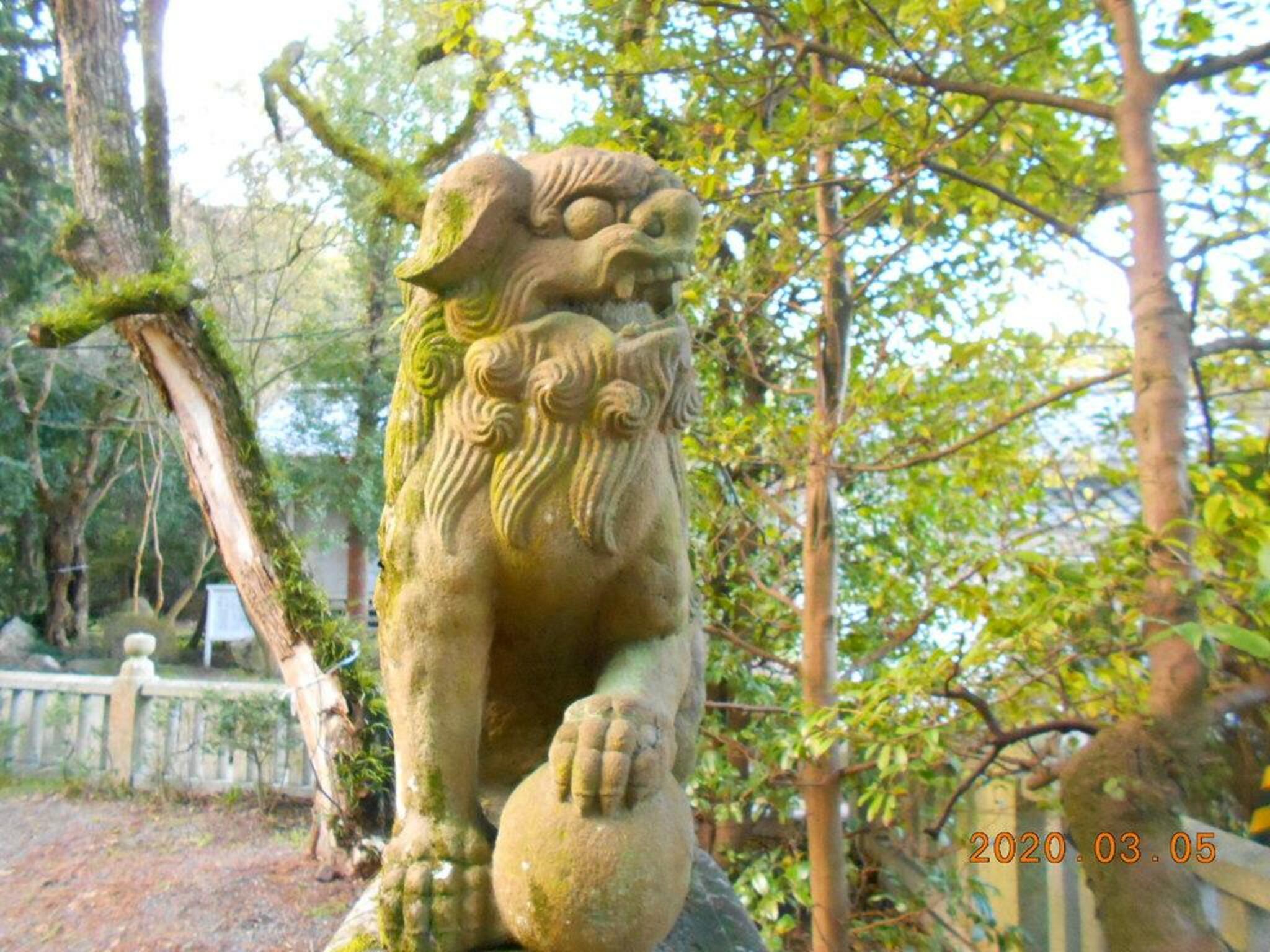 神谷神社の代表写真7