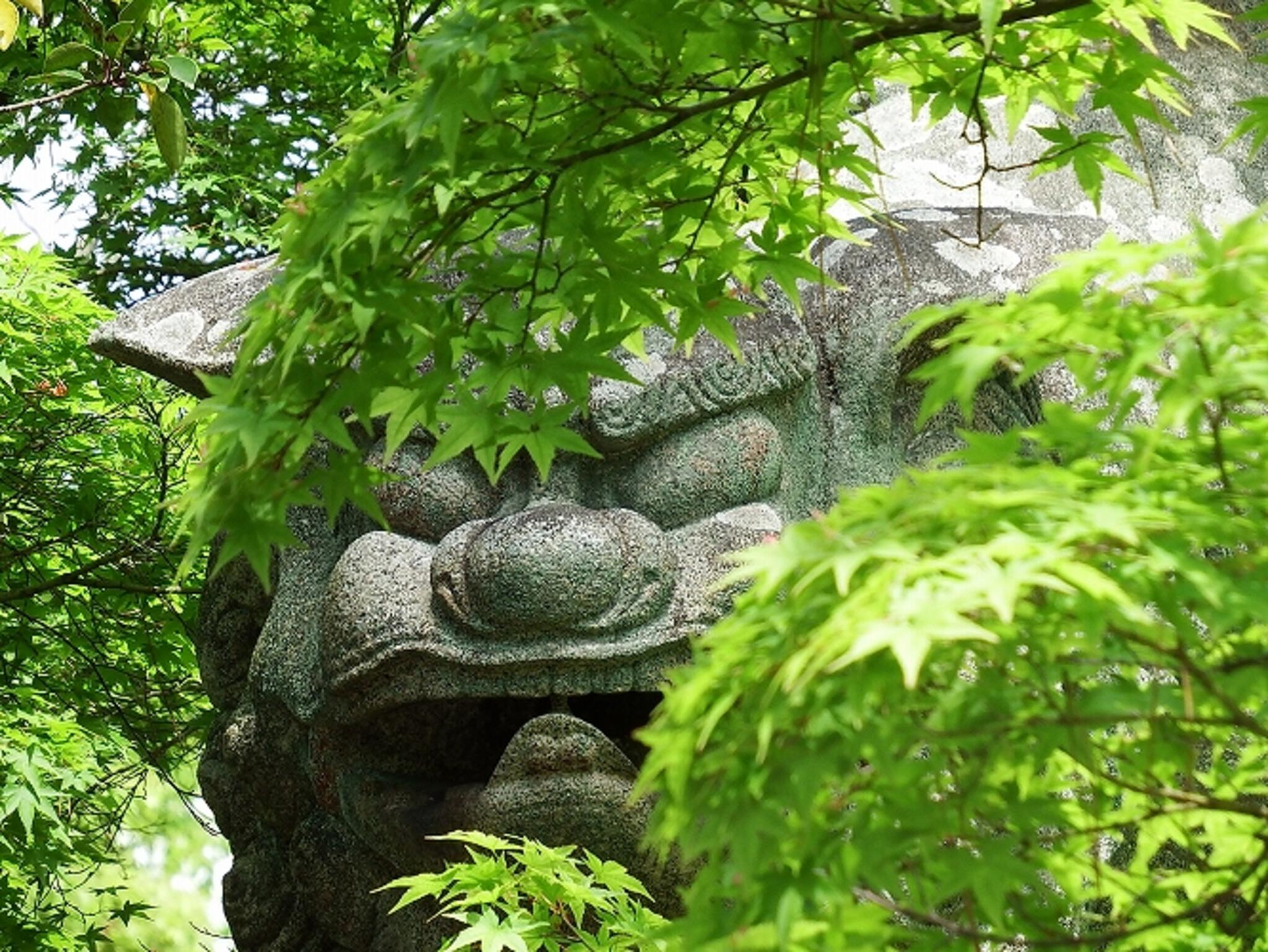 御建神社の代表写真9