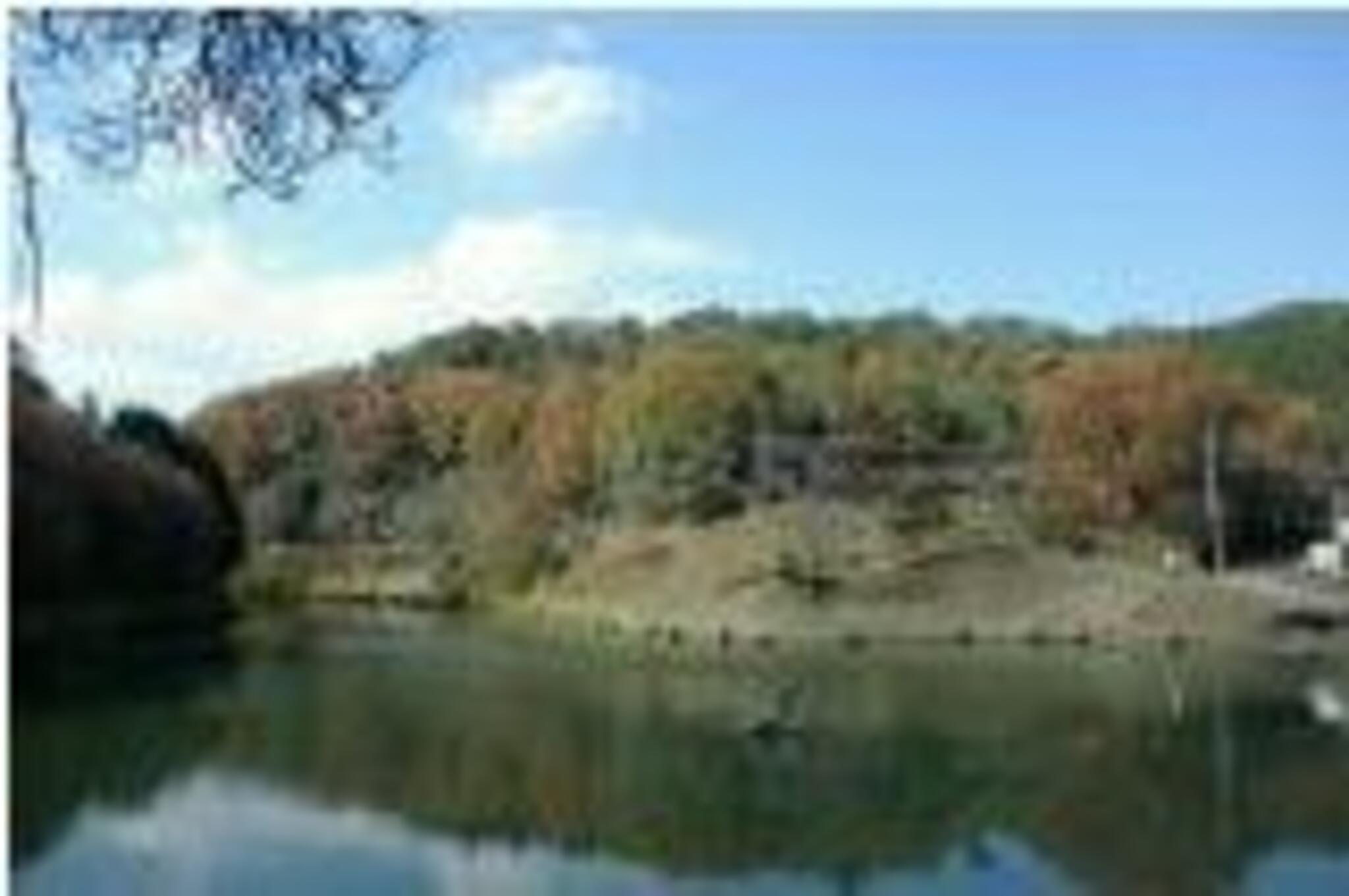 くつわ池自然公園の代表写真5