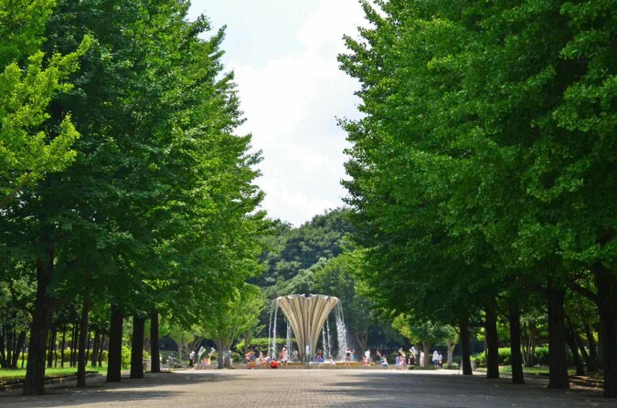 赤塚公園の代表写真10
