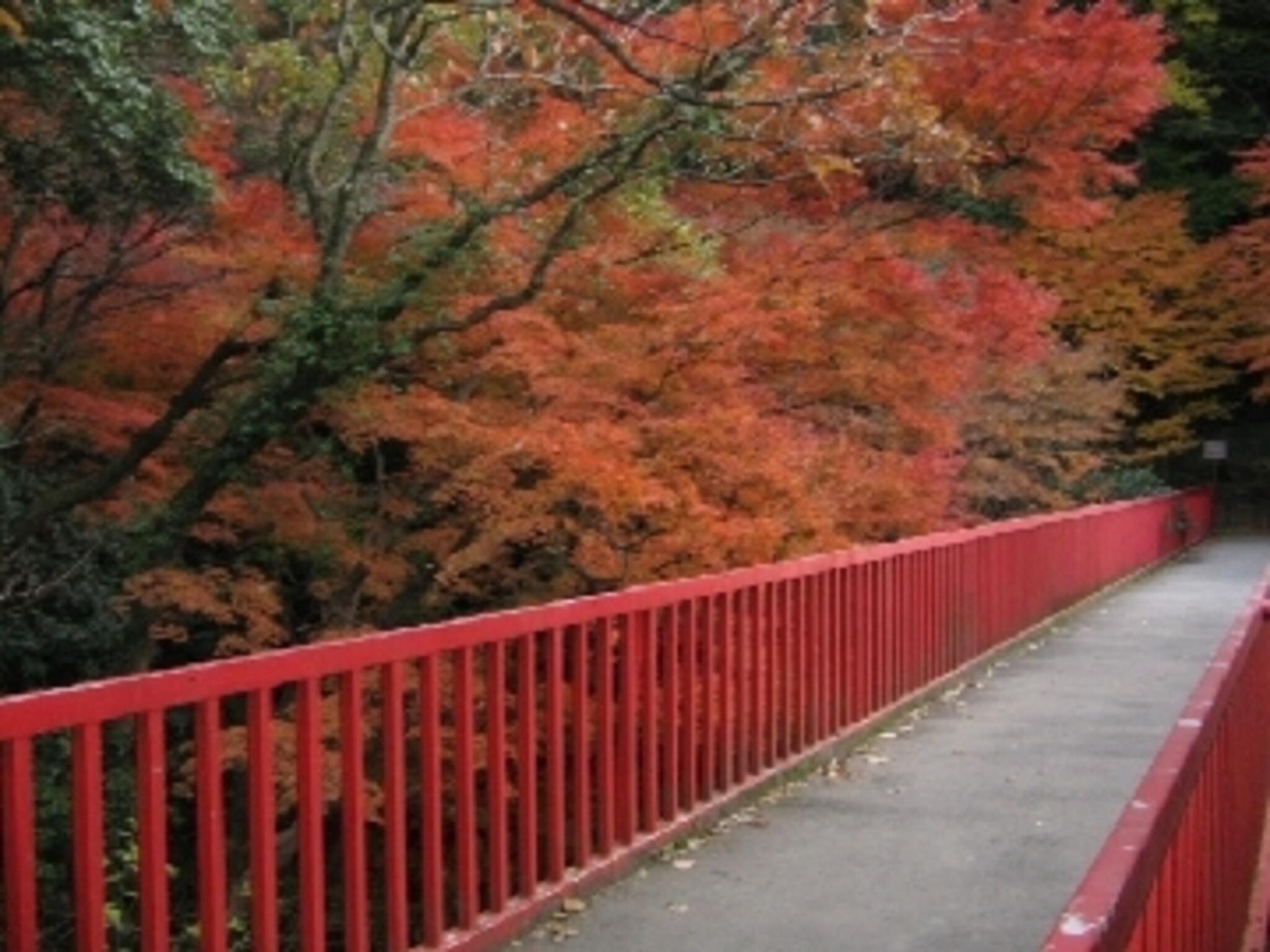 枚岡公園の代表写真9
