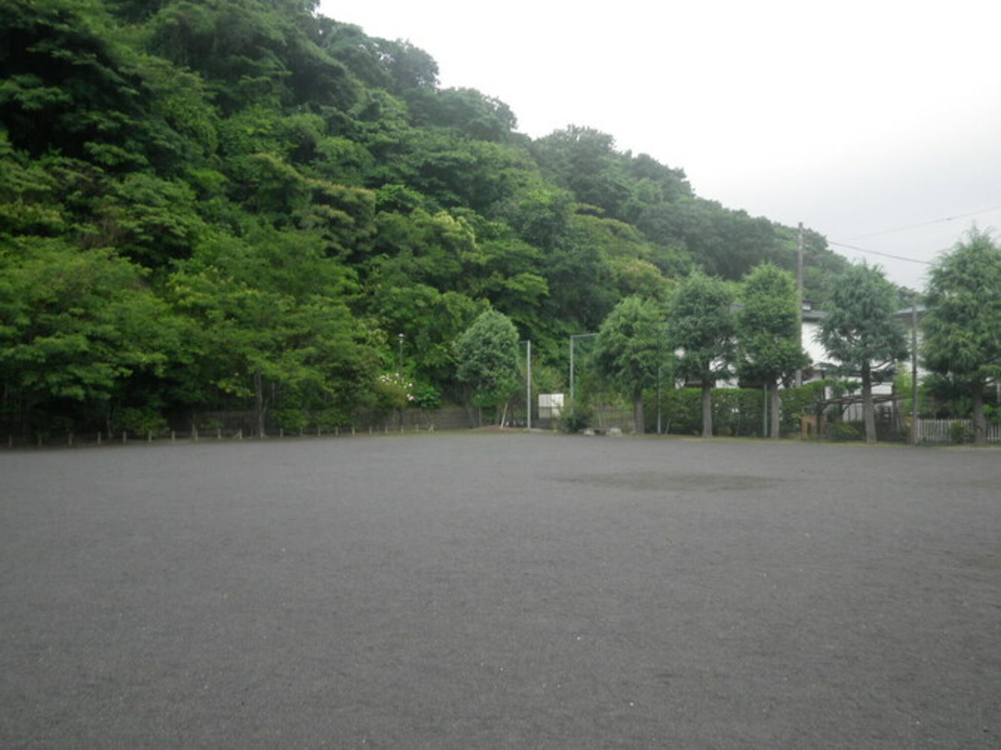 今泉公園(鎌倉市)の代表写真1