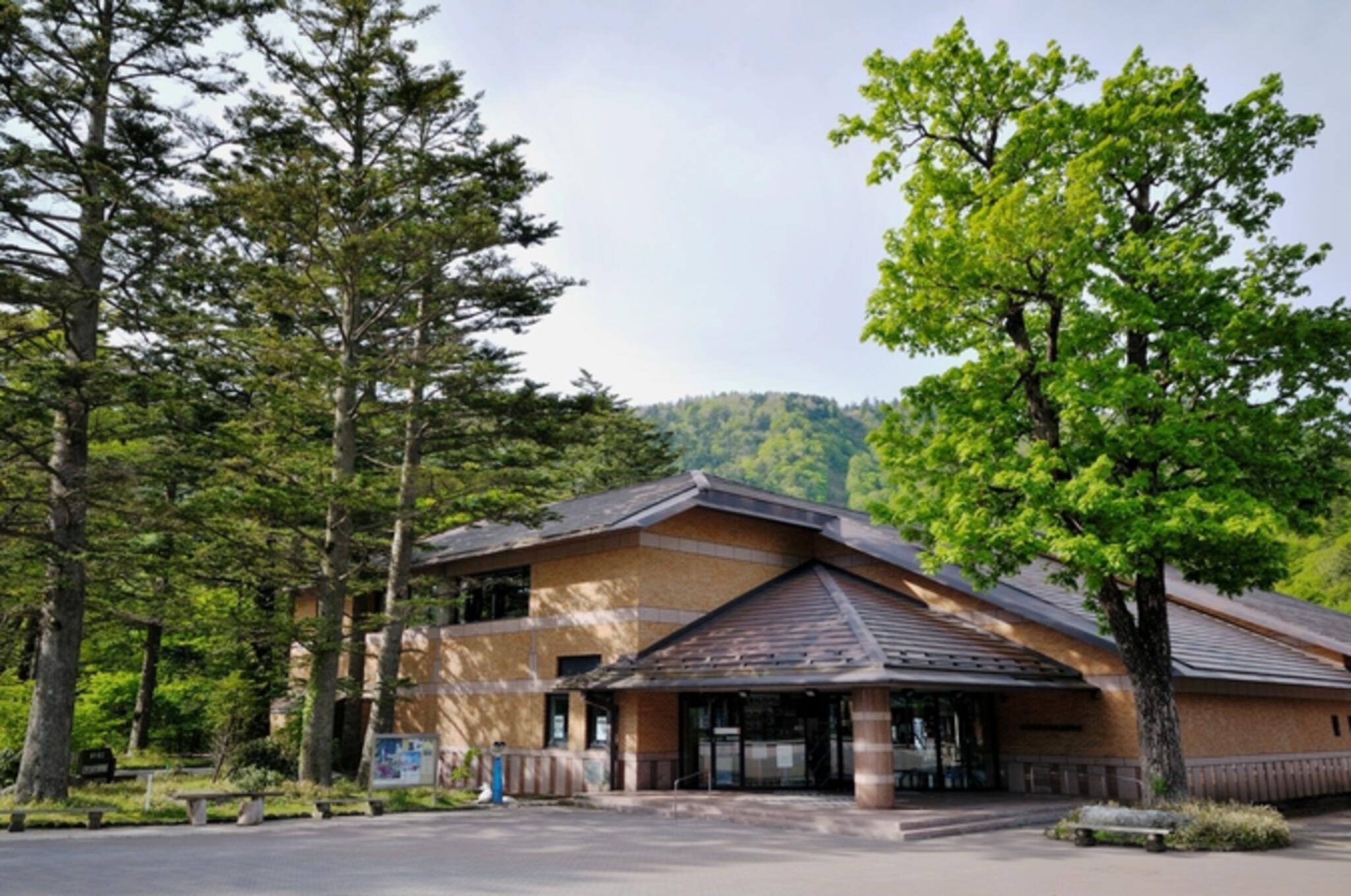 栃木県立日光自然博物館の代表写真9