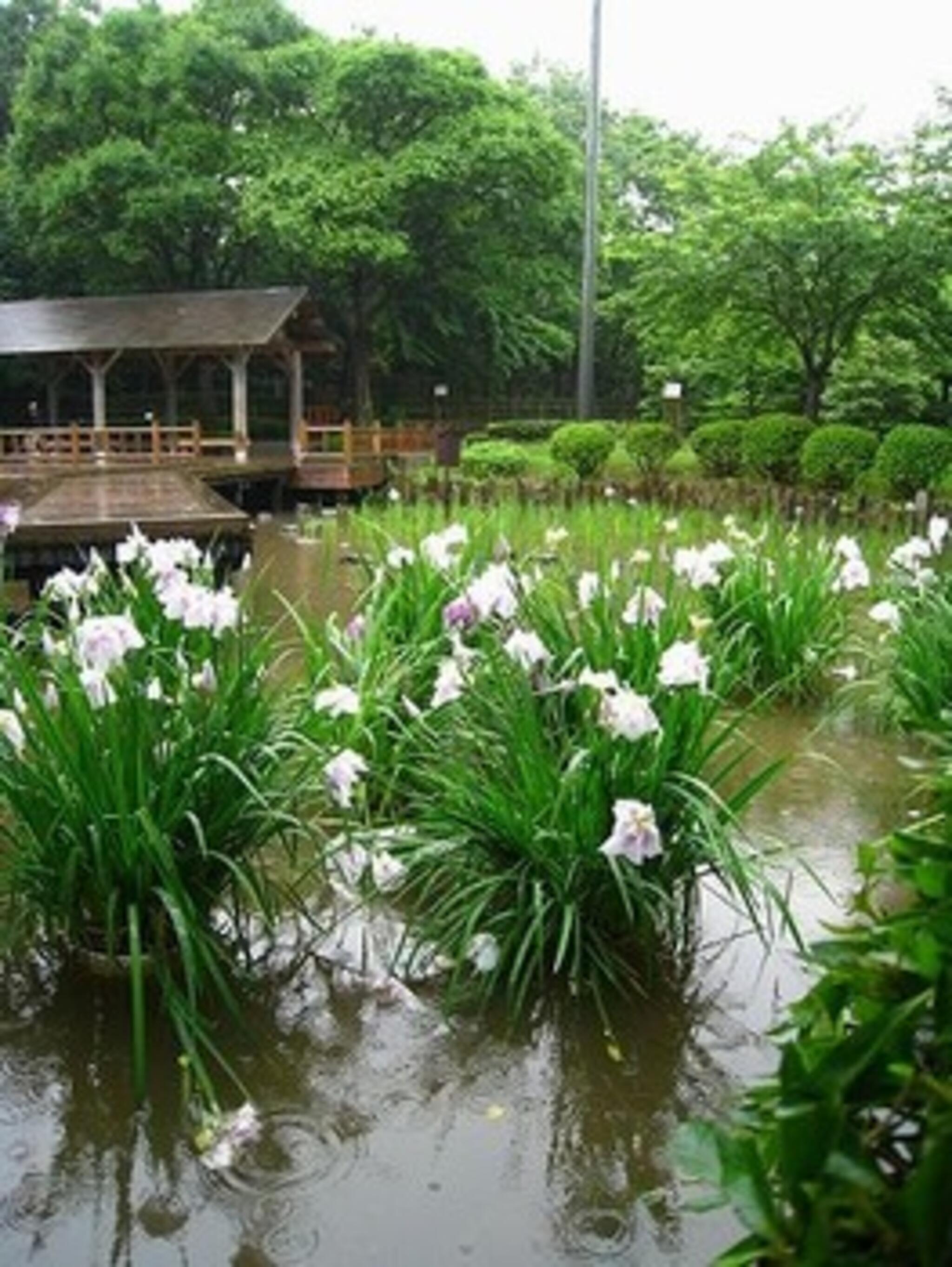 藤沢市長久保公園都市緑化植物園の代表写真1