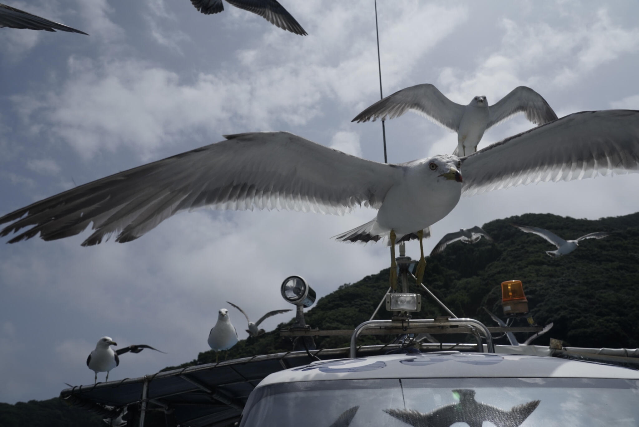 海上タクシー 亀島丸の代表写真1