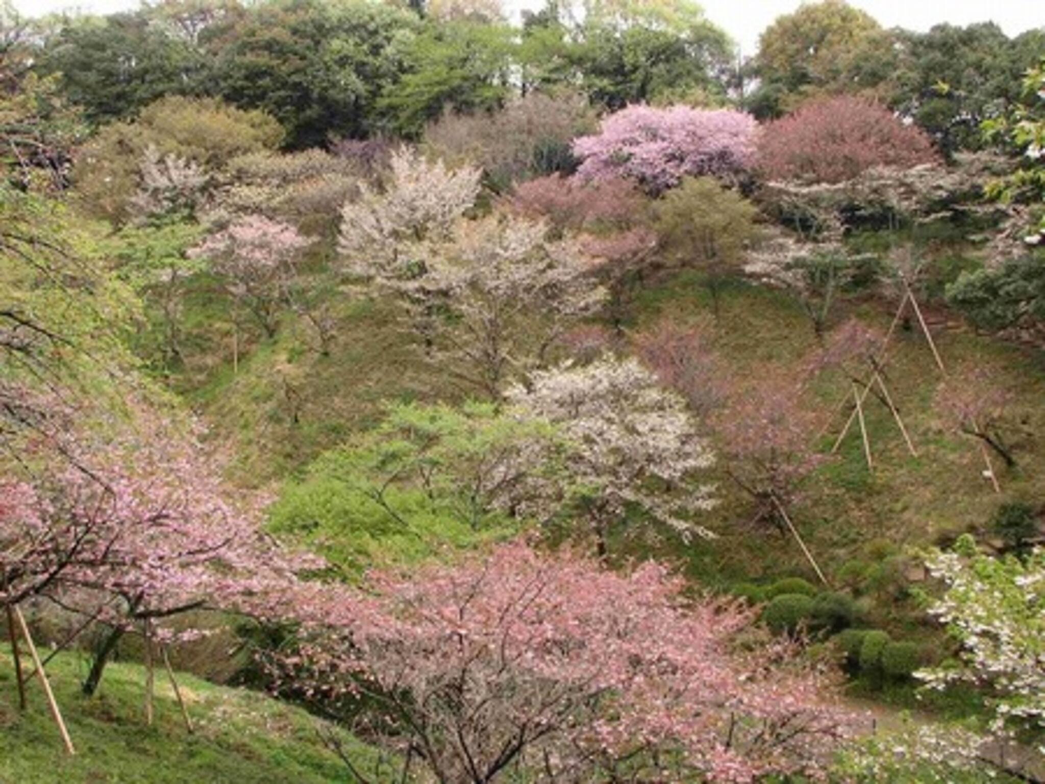 森林総合研究所 多摩森林科学園の代表写真8