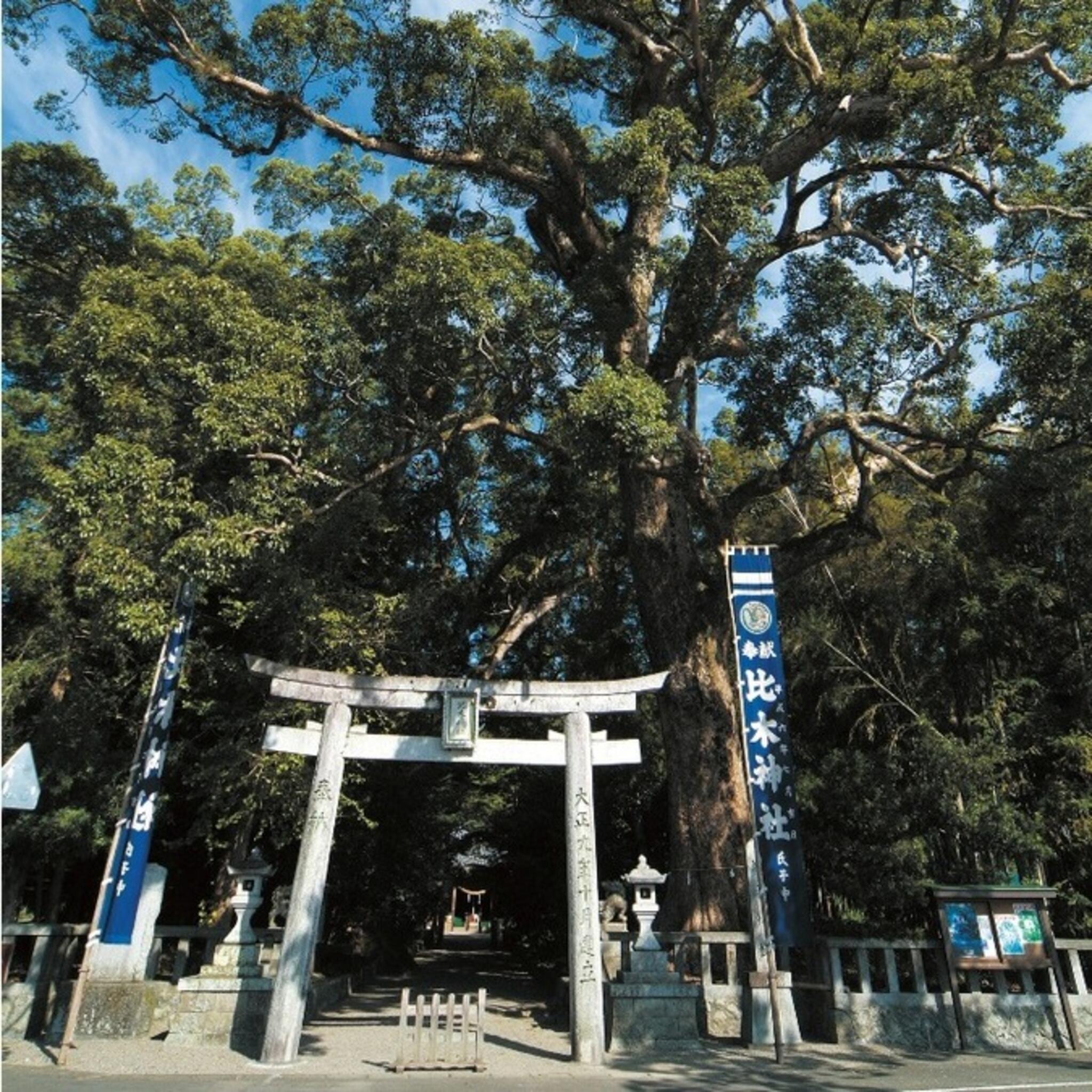 比木神社の代表写真4