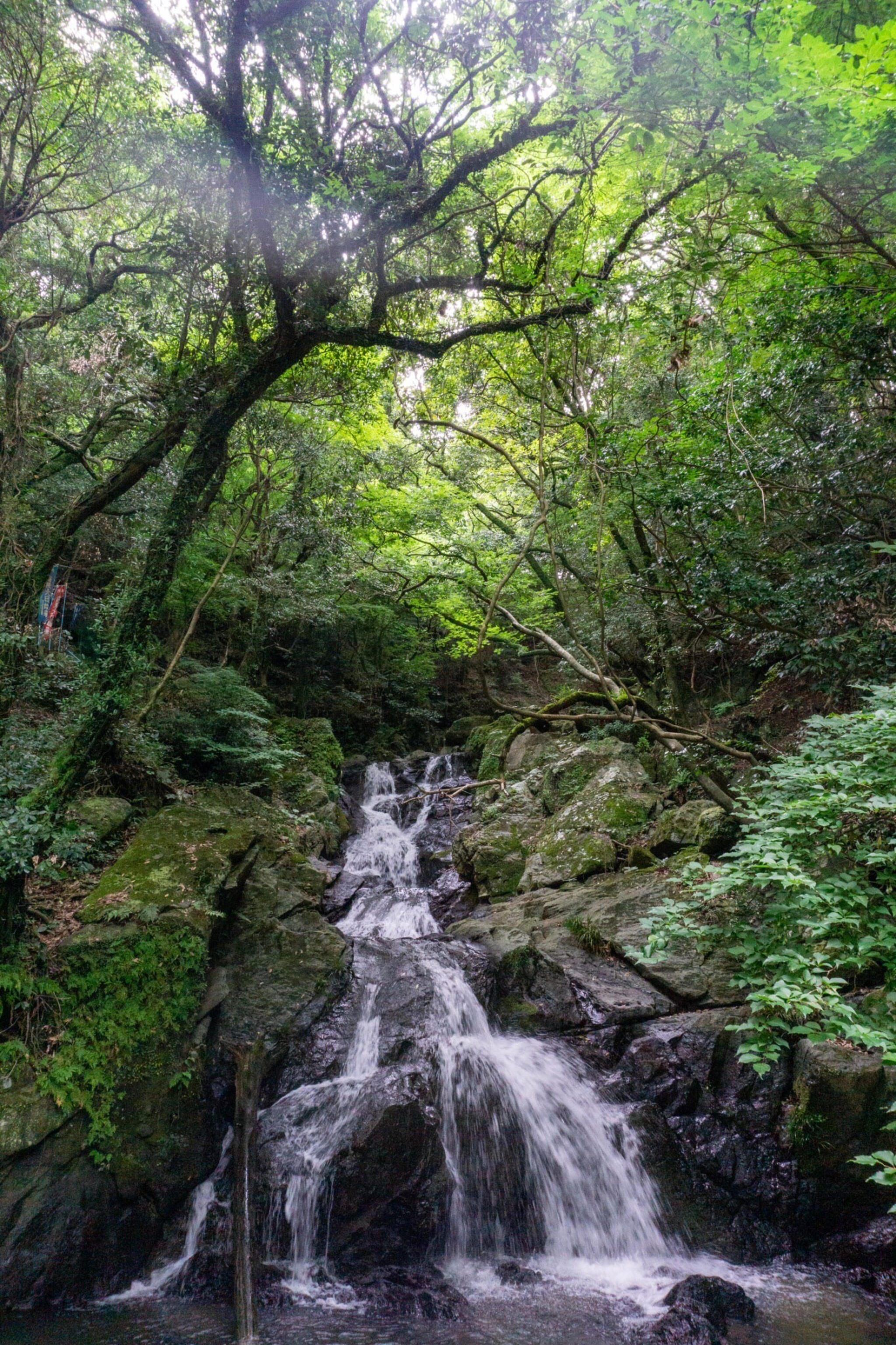 五塔ノ滝 - 糟屋郡篠栗町大字篠栗/滝 | Yahoo!マップ