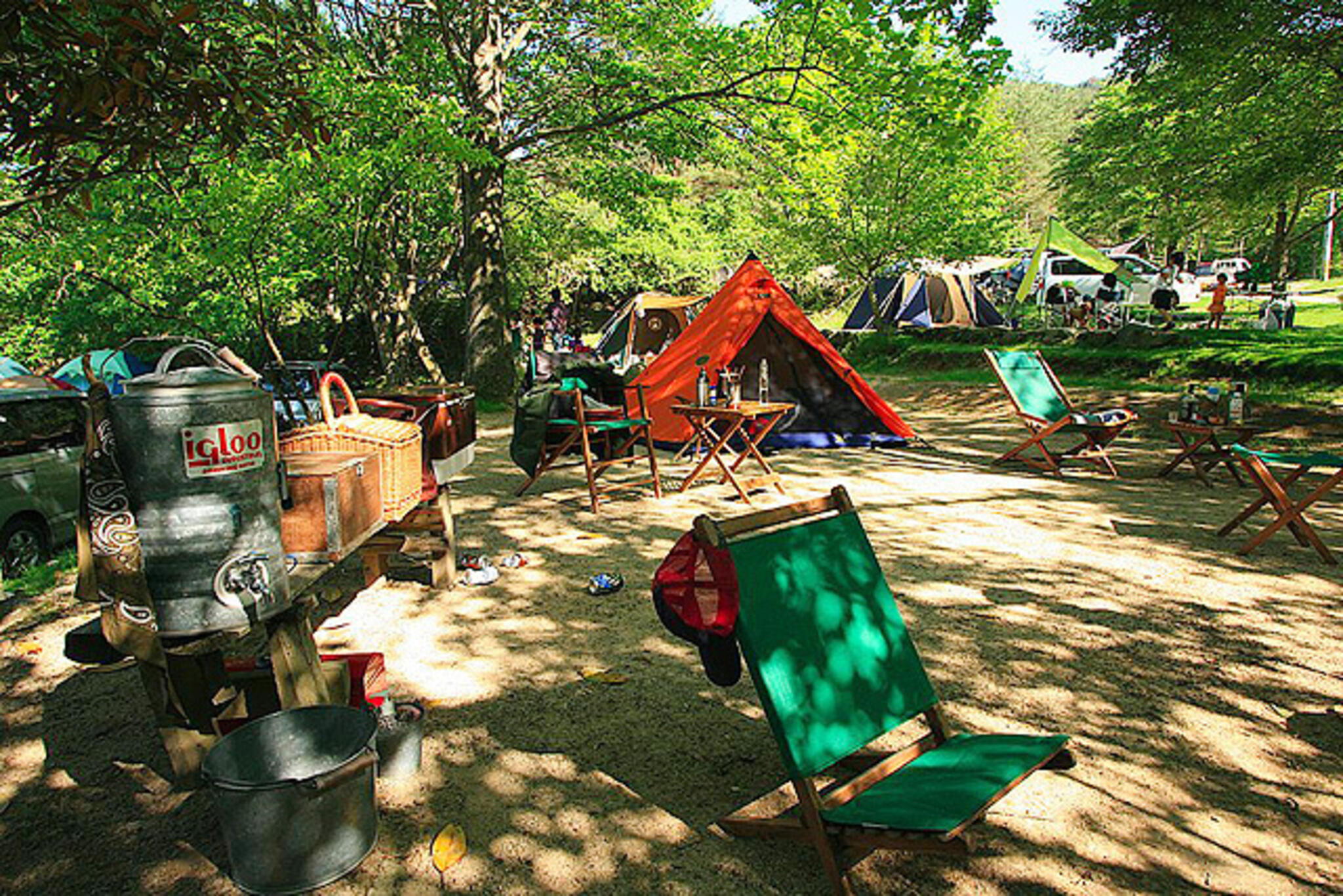 自然の森ファミリーオートキャンプ場の代表写真2