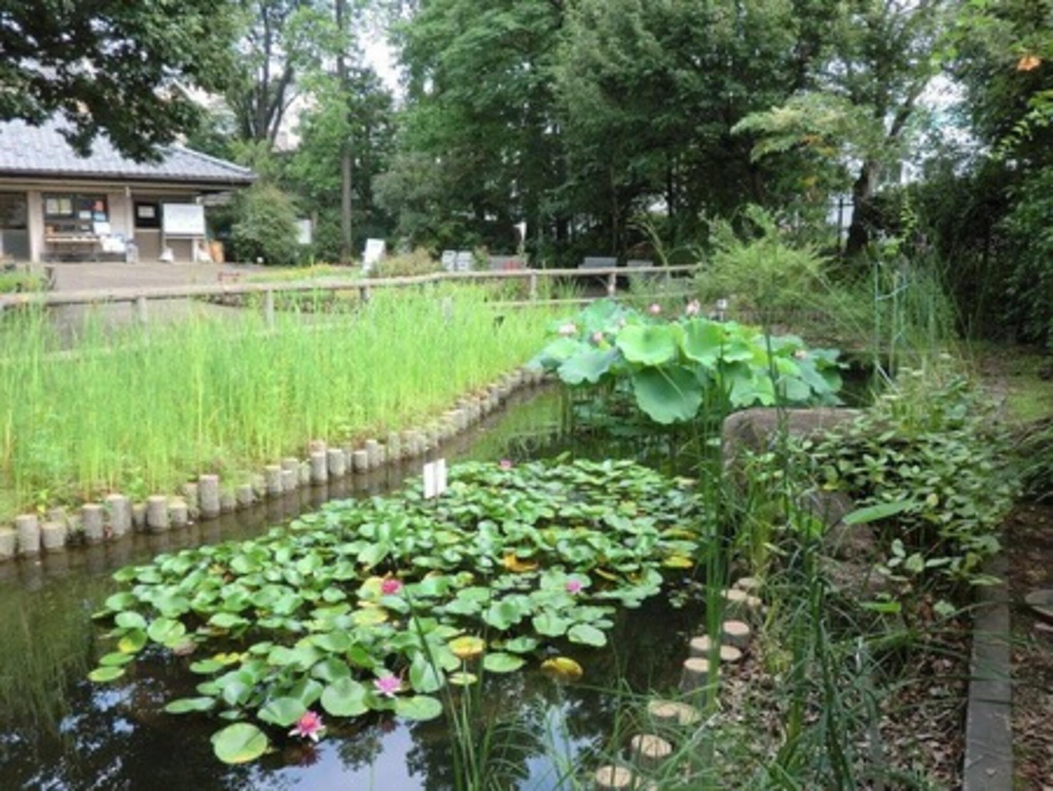 赤塚植物園の代表写真7