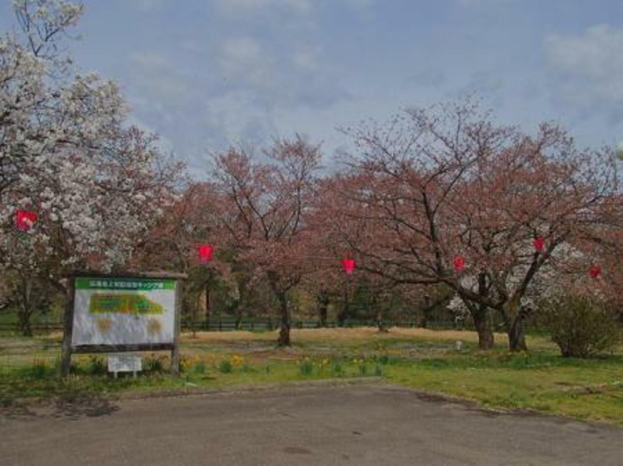砺波市上和田緑地キャンプ場の代表写真4