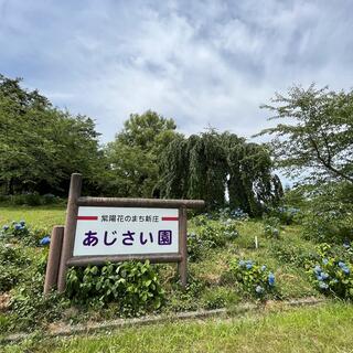 最上公園の写真26