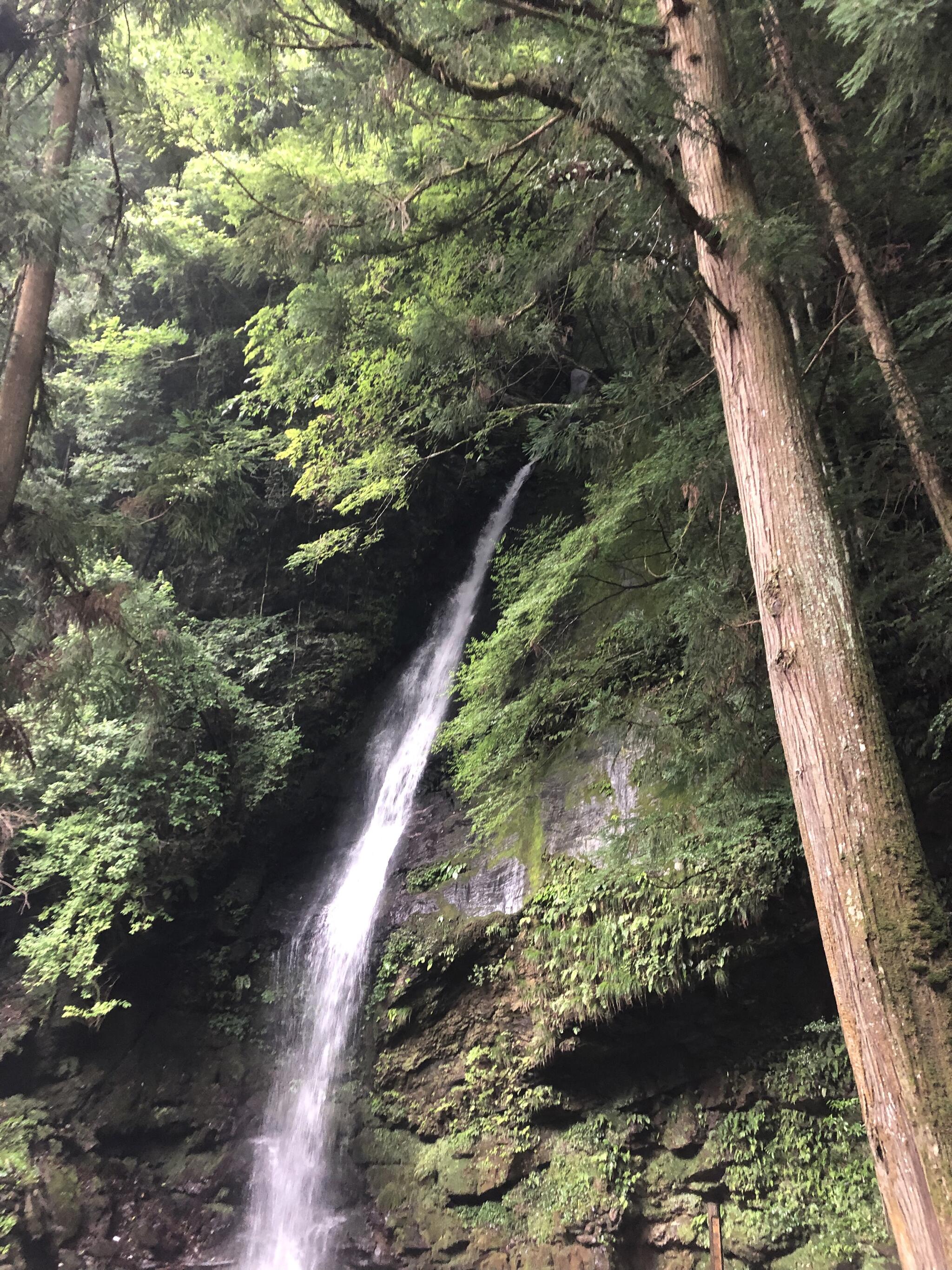 琵琶の滝の代表写真6