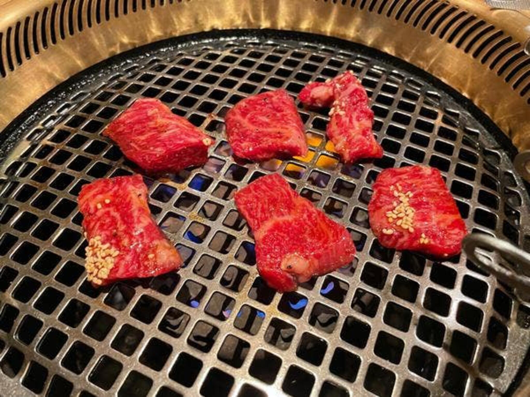 肉が旨い。長岡京店の代表写真3
