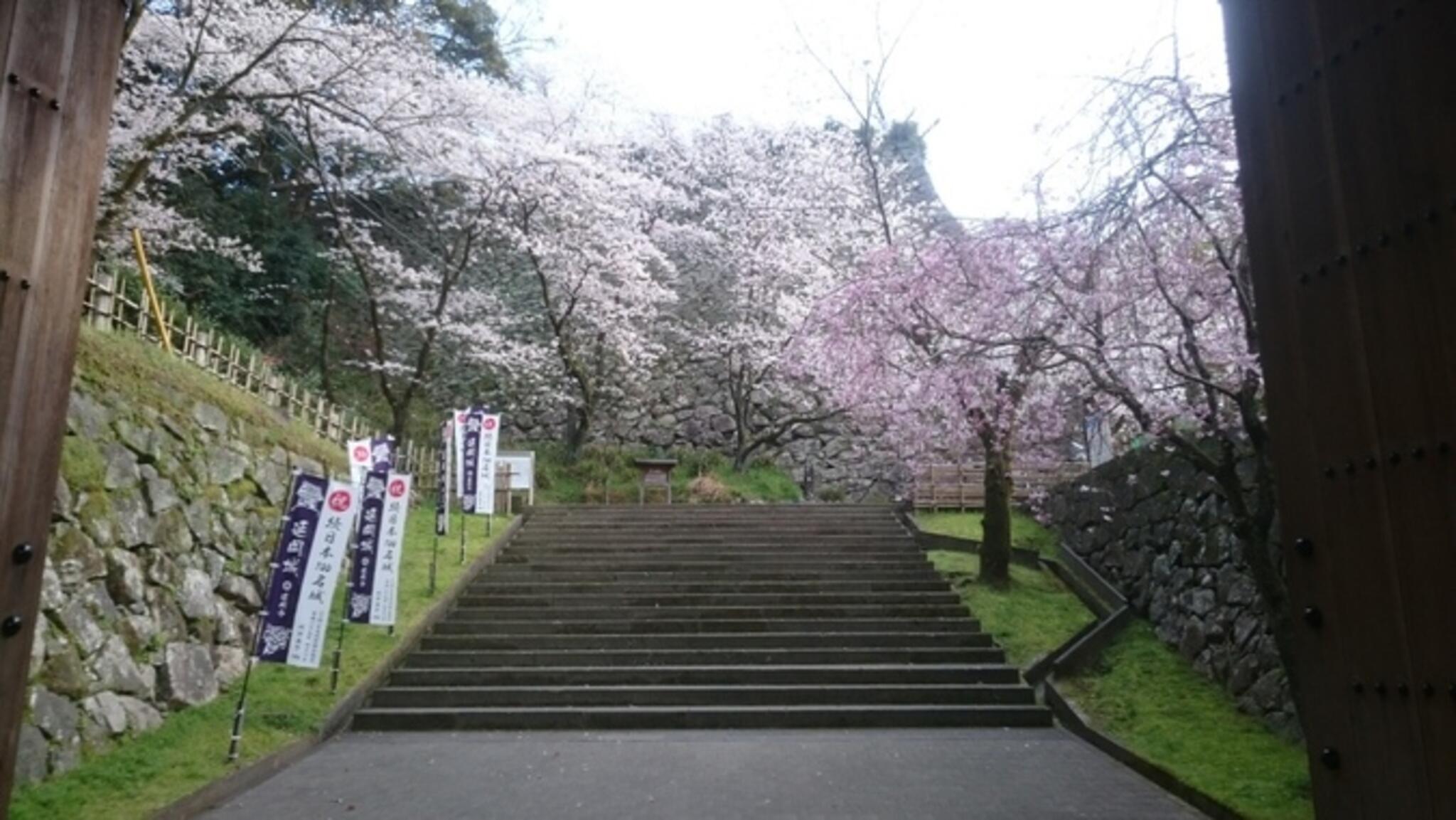 延岡城跡 城山公園の代表写真5