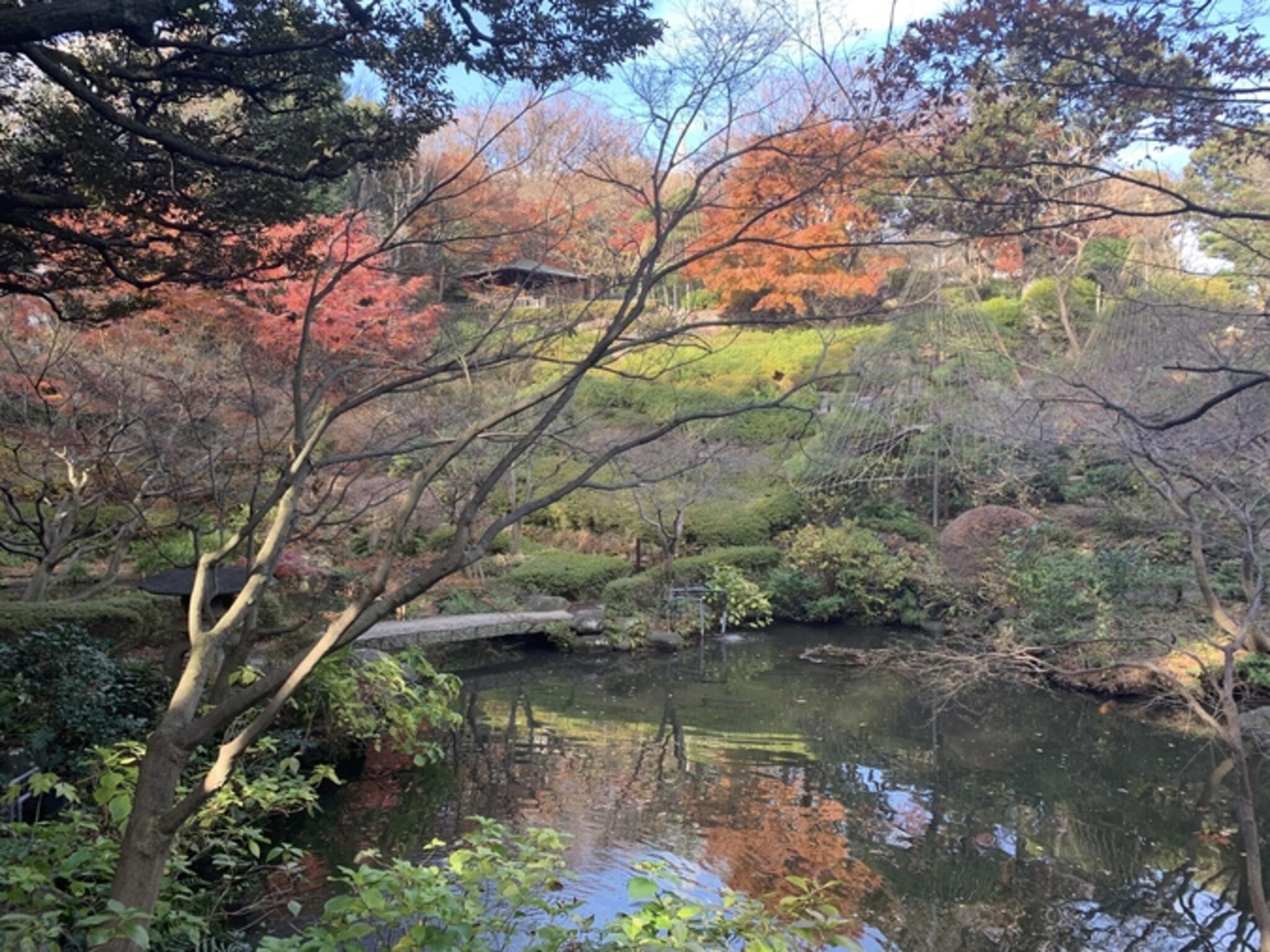 池田山公園の代表写真9