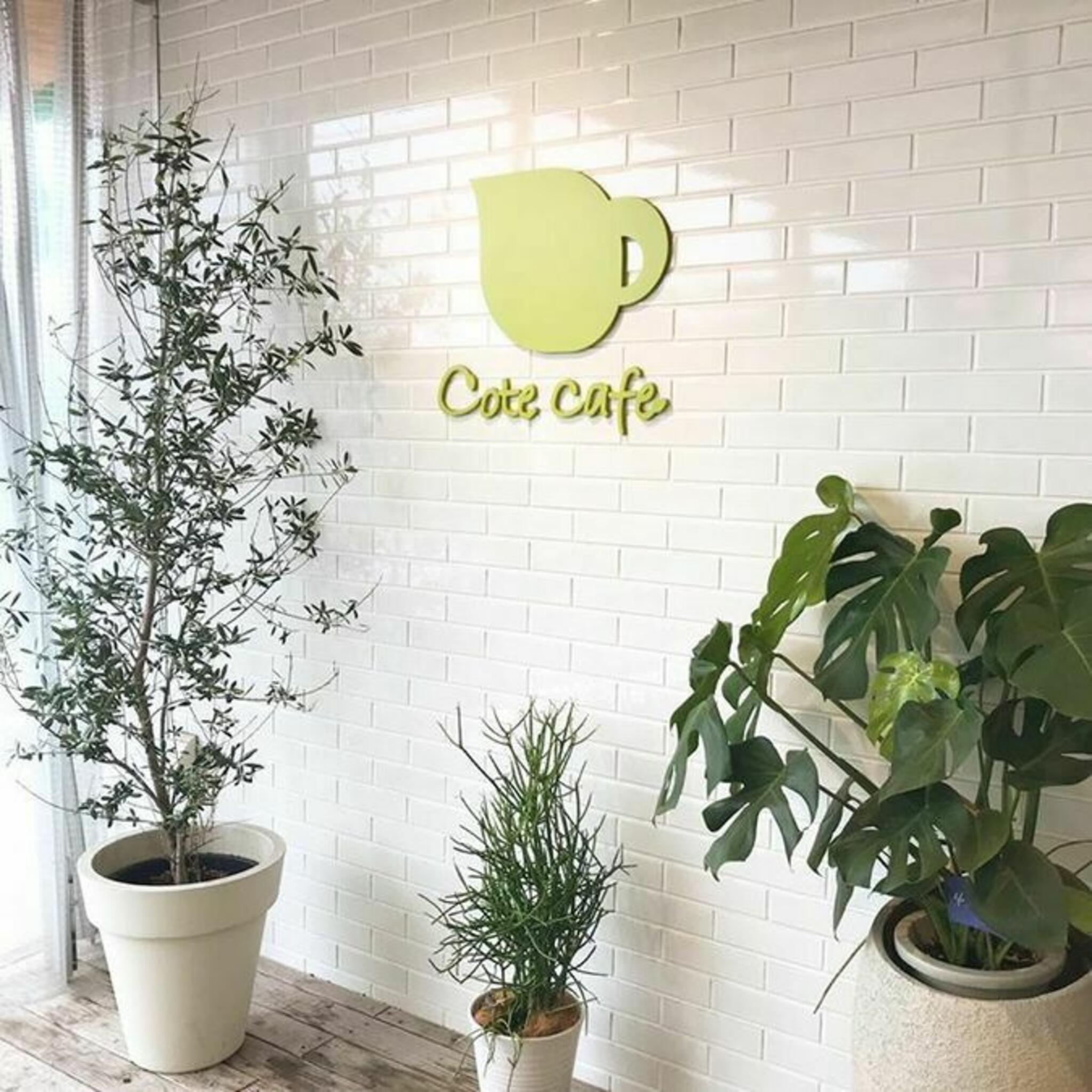 cote cafeの代表写真8