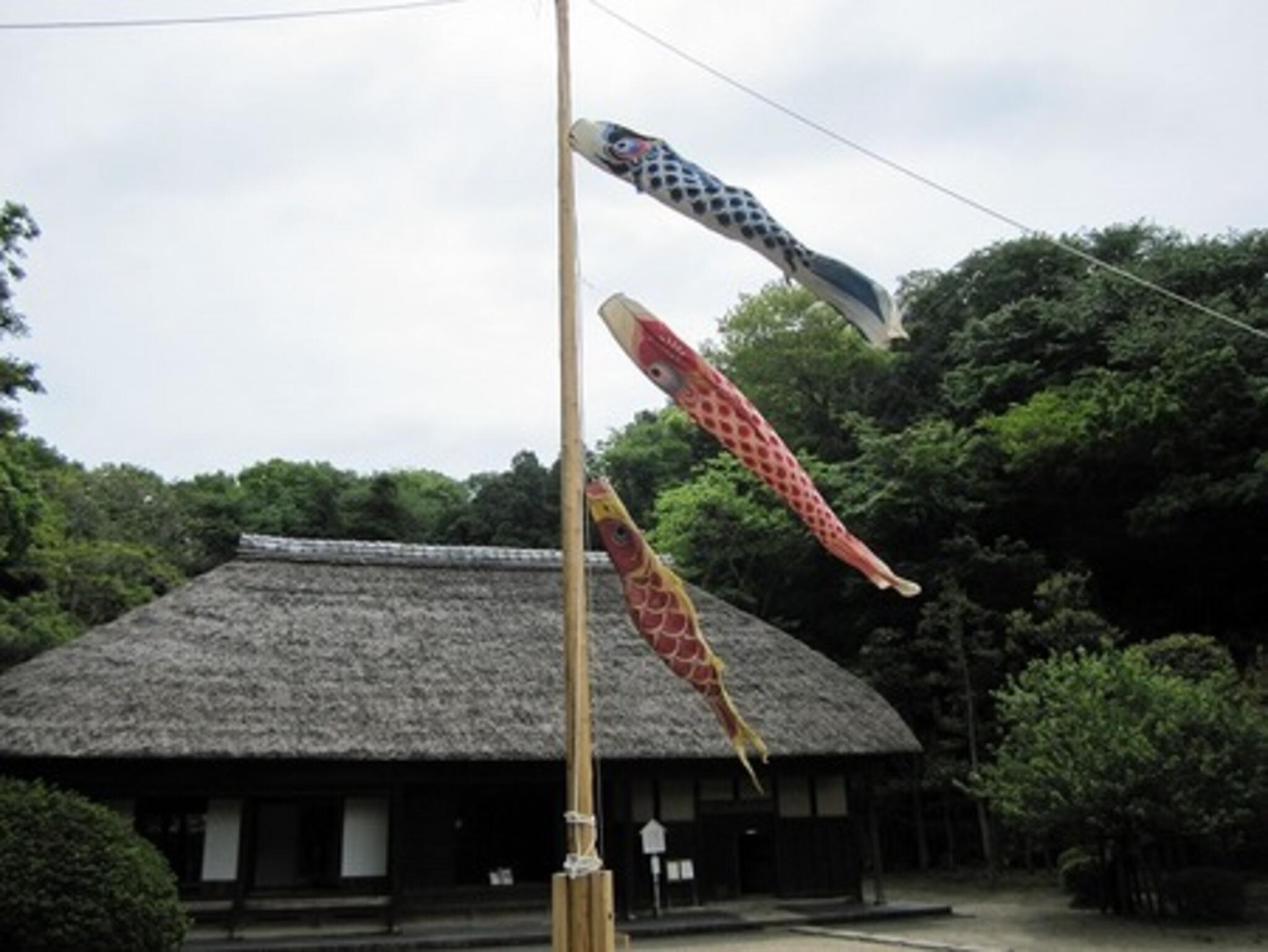 新林公園の代表写真1