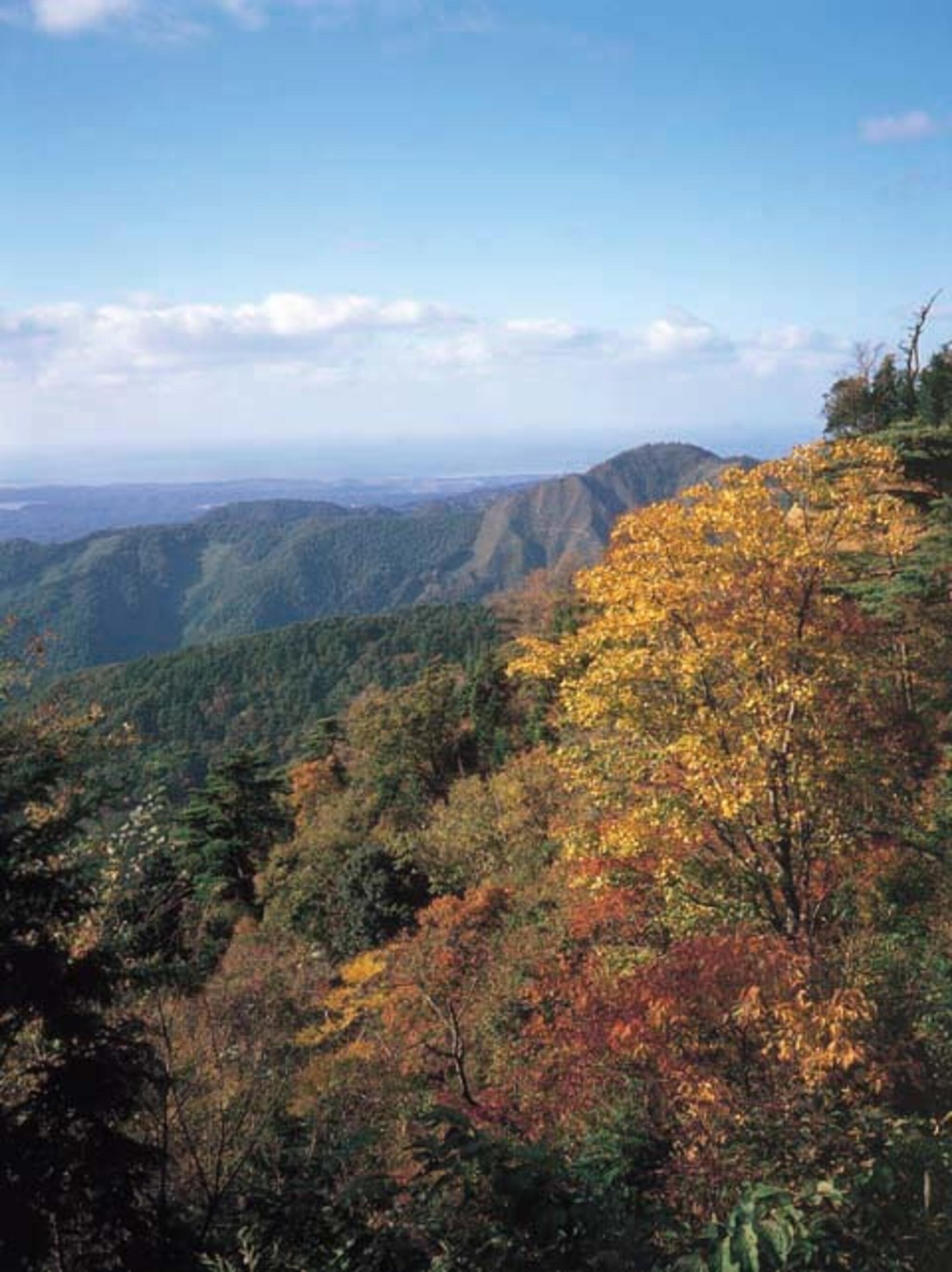 刈安山森林自然公園の代表写真1