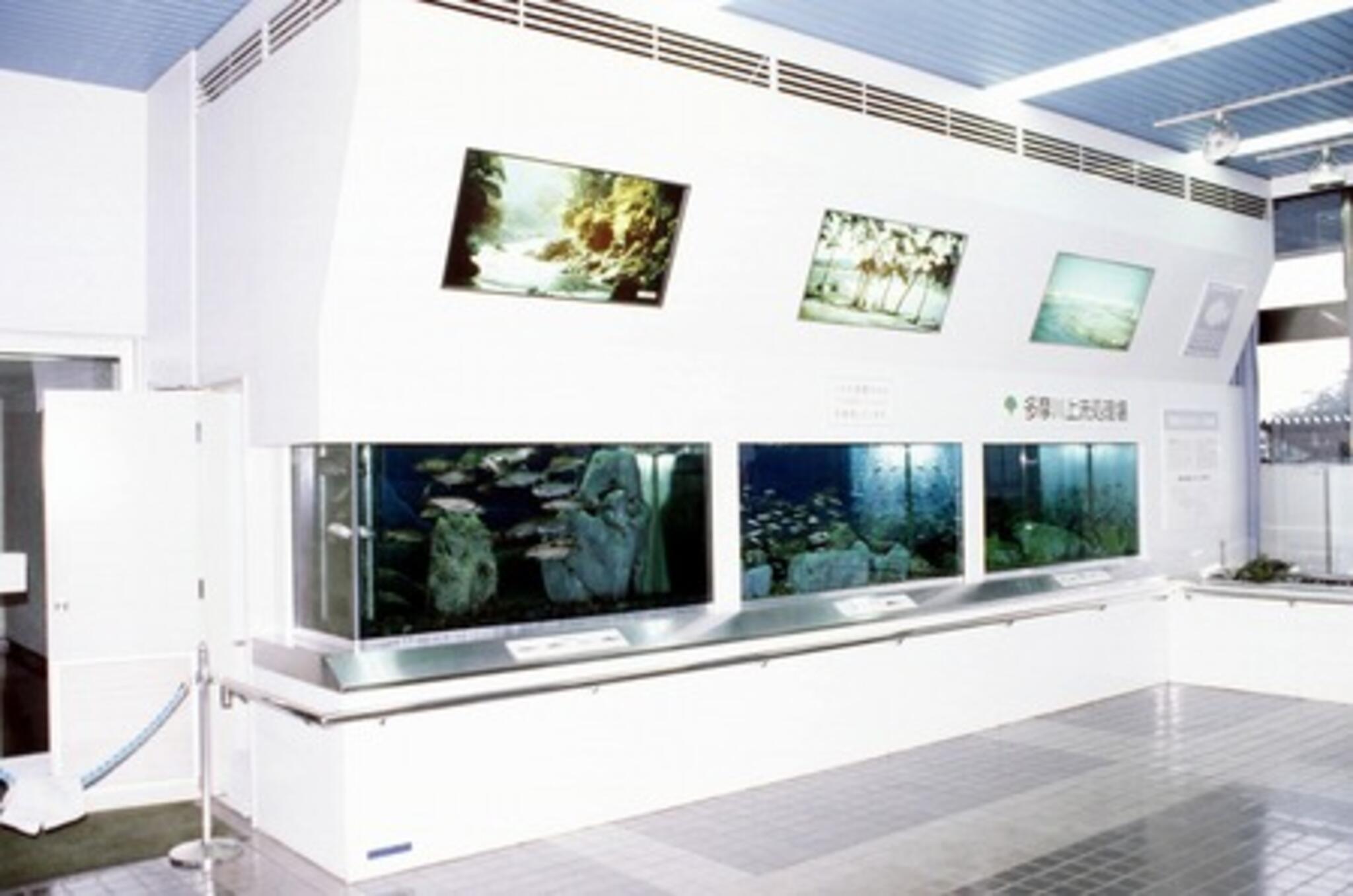 多摩川ふれあい水族館の代表写真8