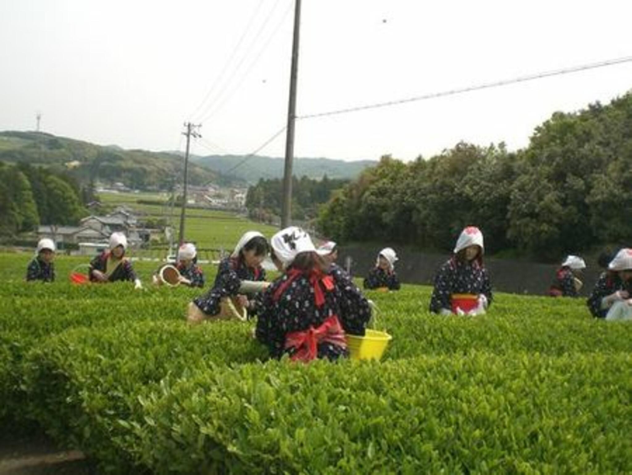 JA遠州中央 香りの丘茶ピアの代表写真4