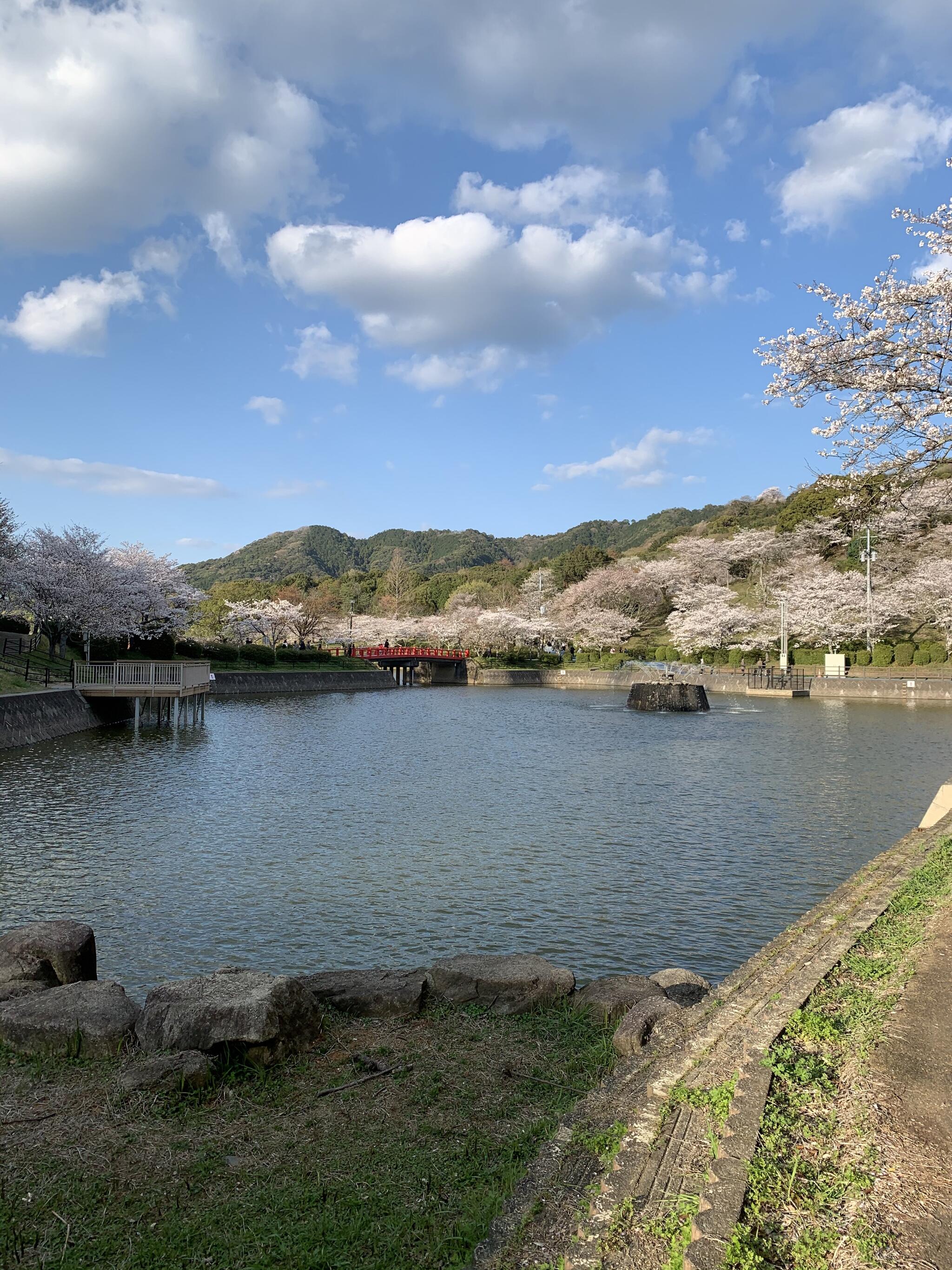 甘木公園の代表写真4