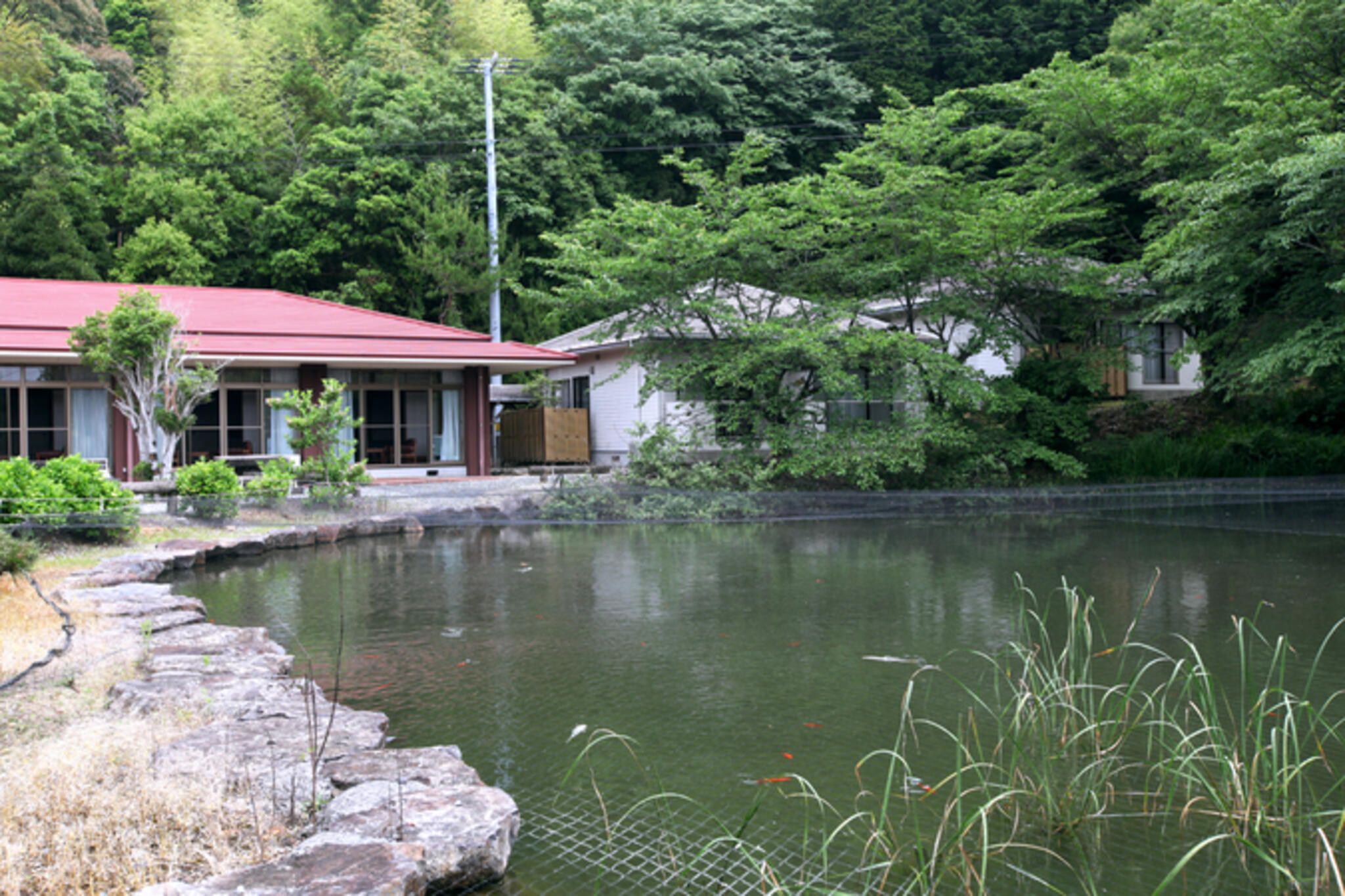 一本松温泉 あけぼの荘の代表写真1