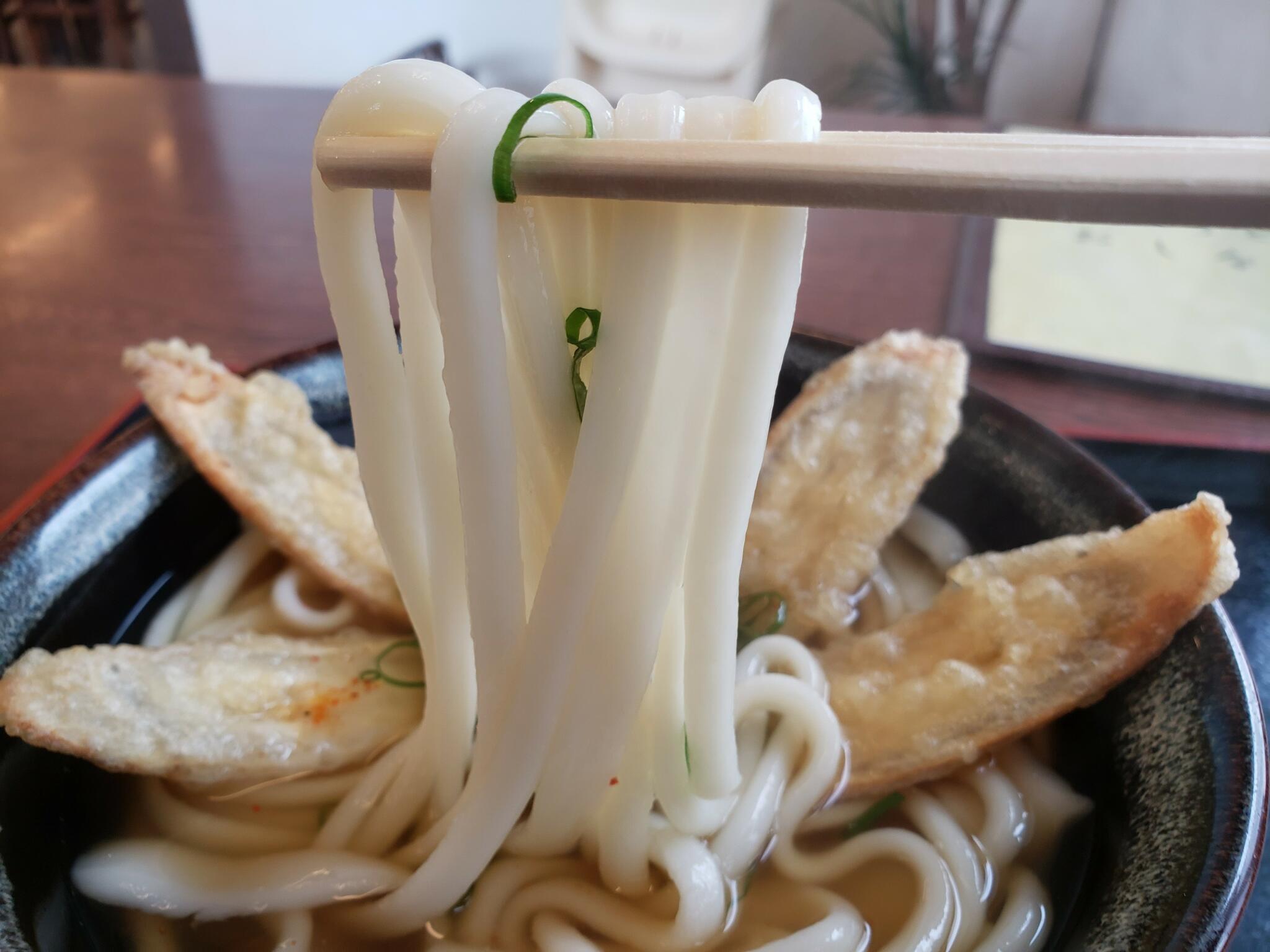 一六うどん 筑前店の代表写真1