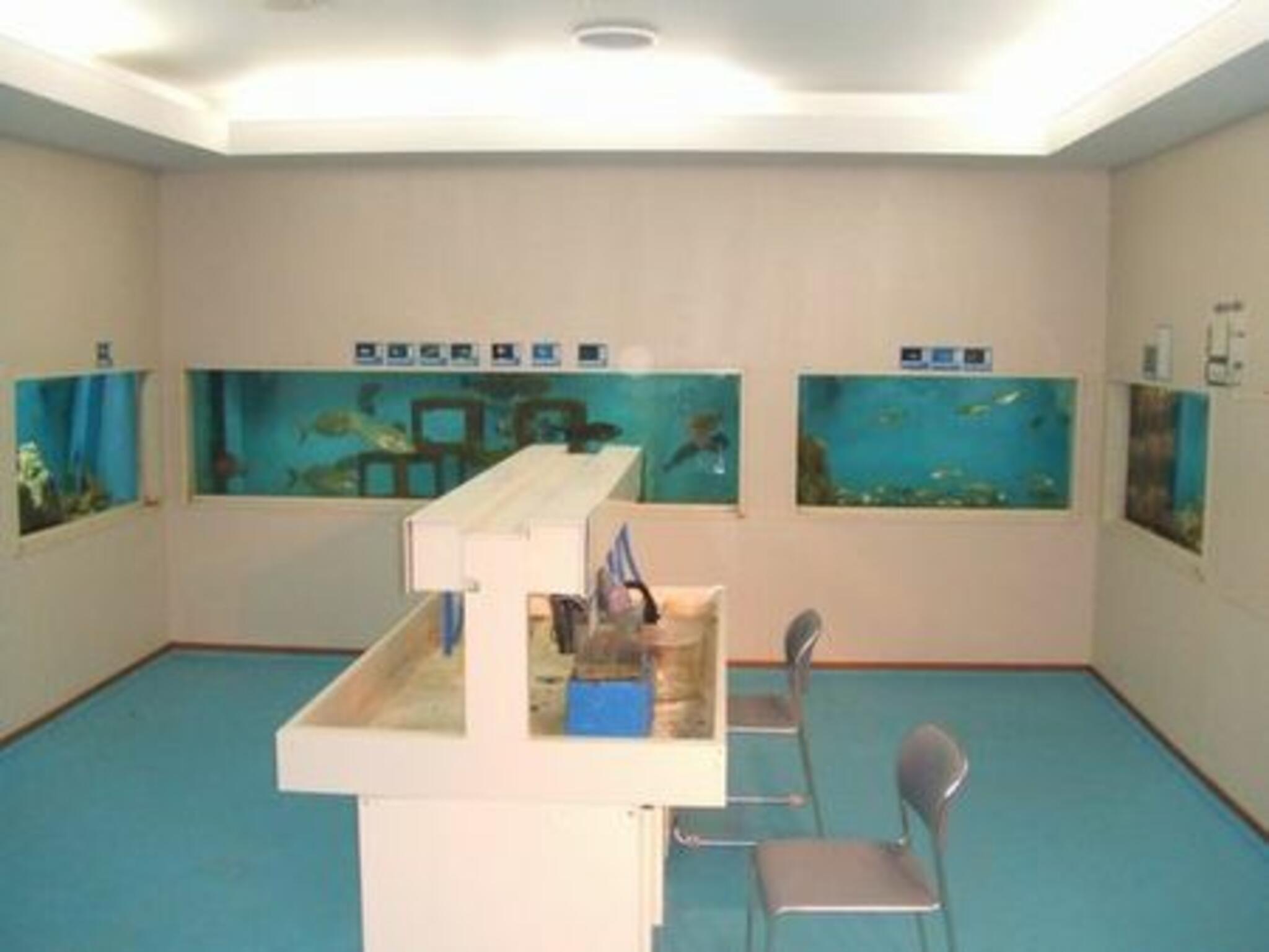 千葉大学海洋バイオシステム研究センター 水族館の代表写真2