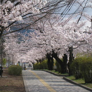 長野市城山公園の写真10