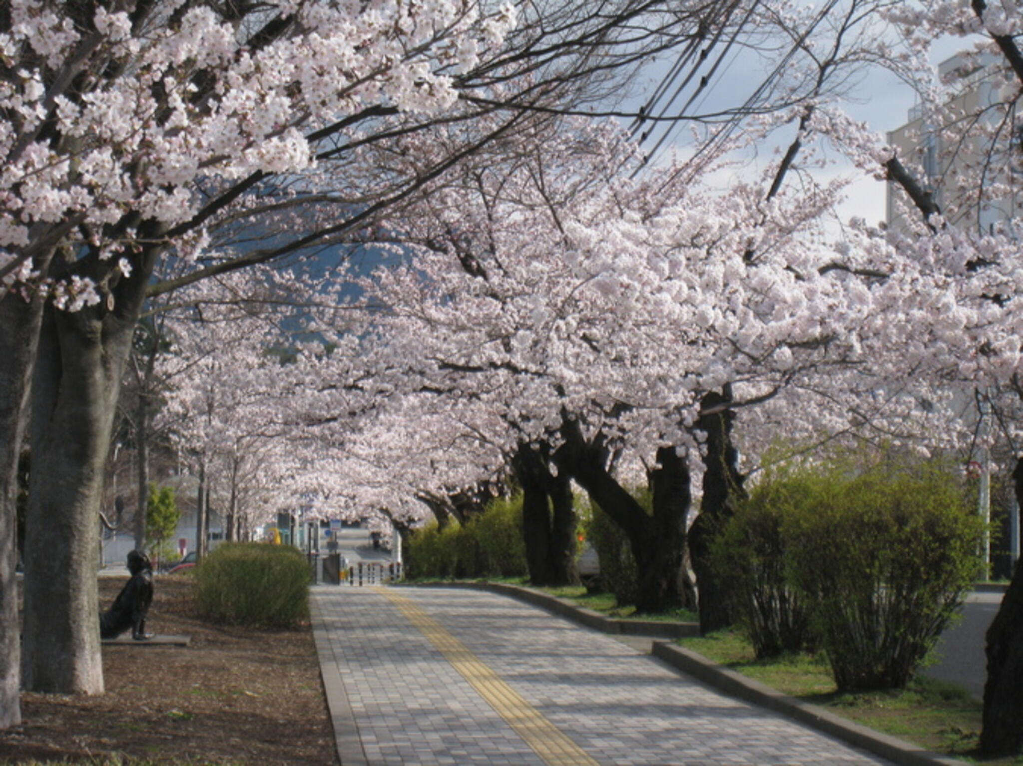 長野市城山公園の代表写真10