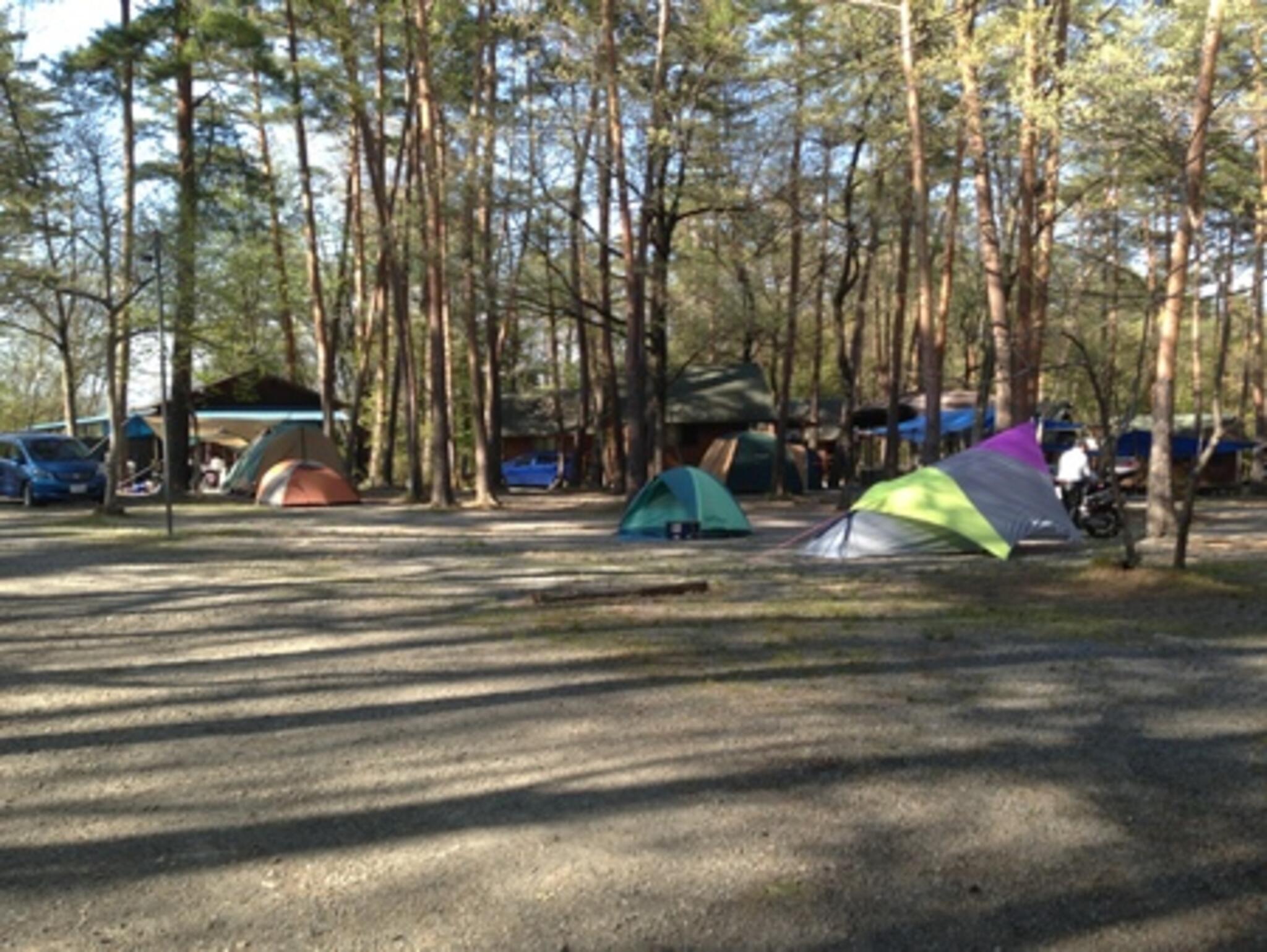 尾白の森キャンプ場の代表写真4